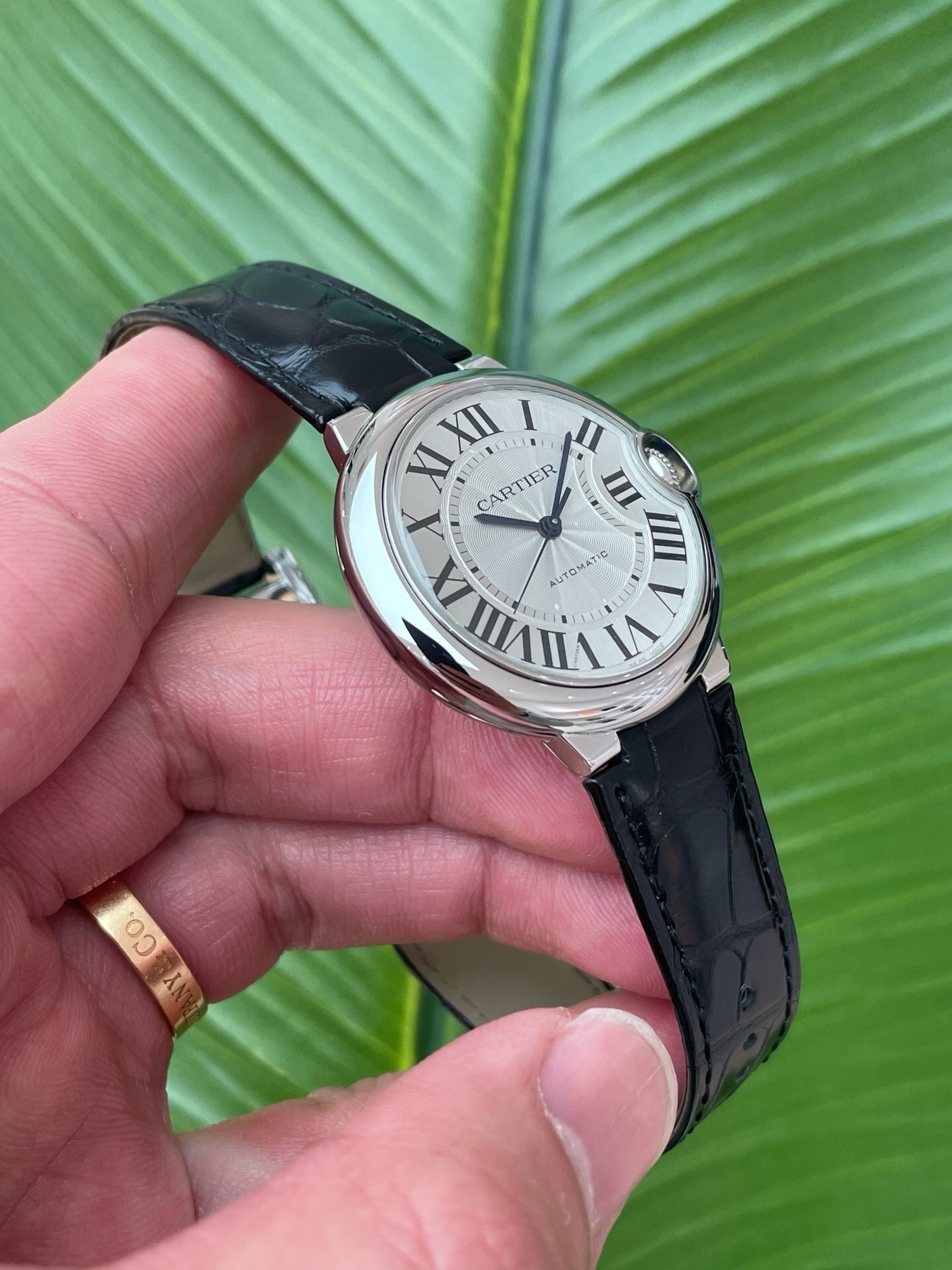 Cartier WSBB0028 detail 2