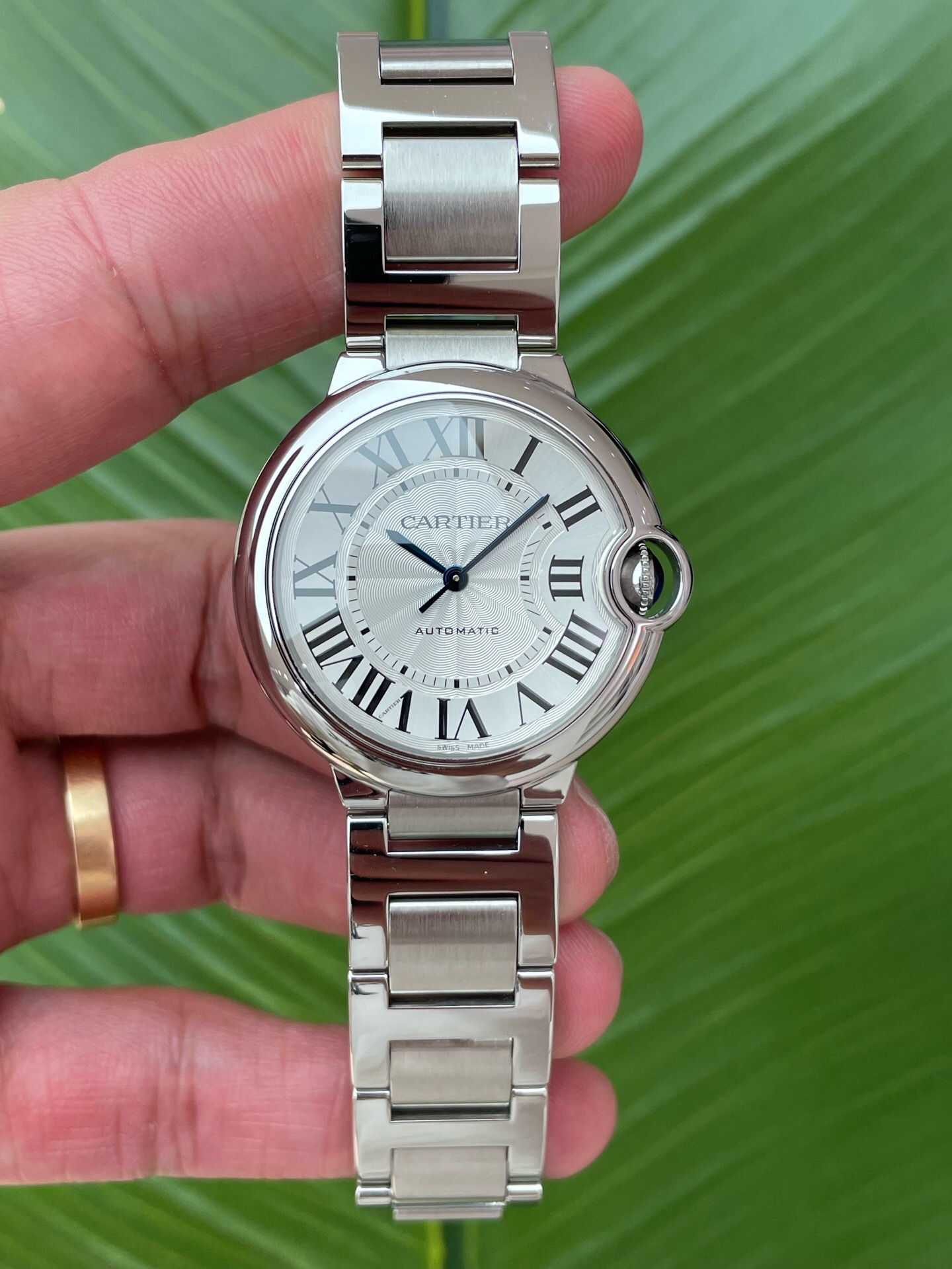 Cartier WSBB0048