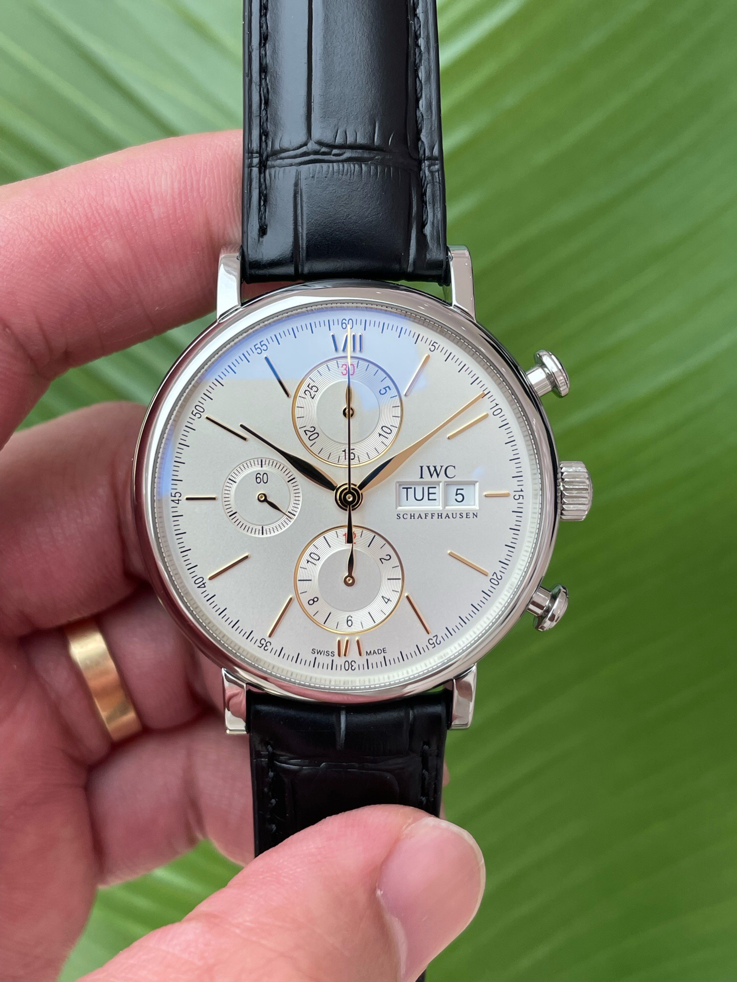 IWC IW391031
