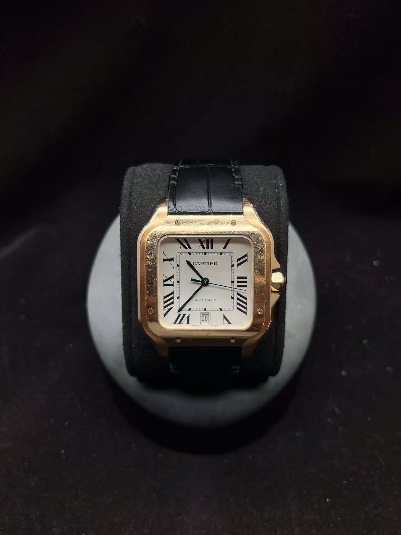 Cartier WGSA0019
