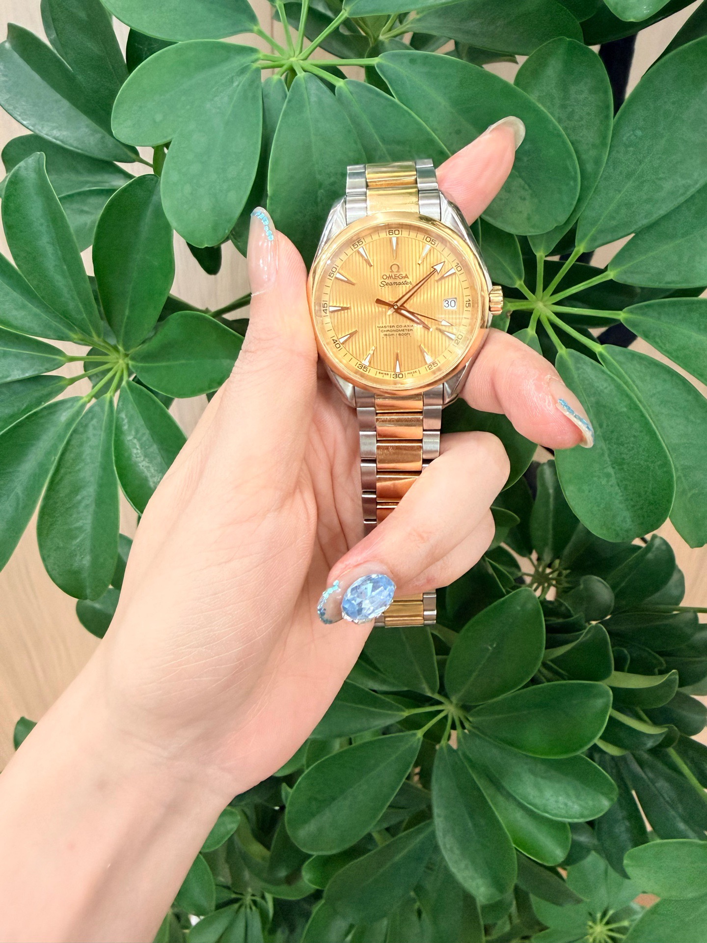 Omega 231.20.42.21.08.001