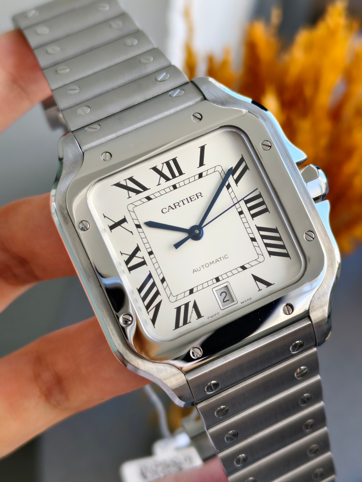 Cartier WSSA0018