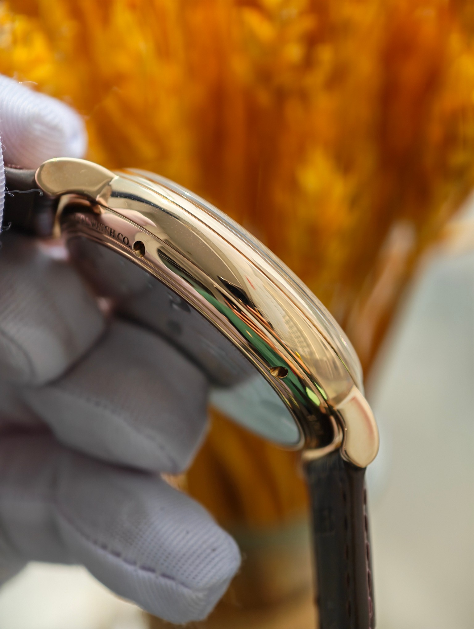IWC IW510104 detail 3