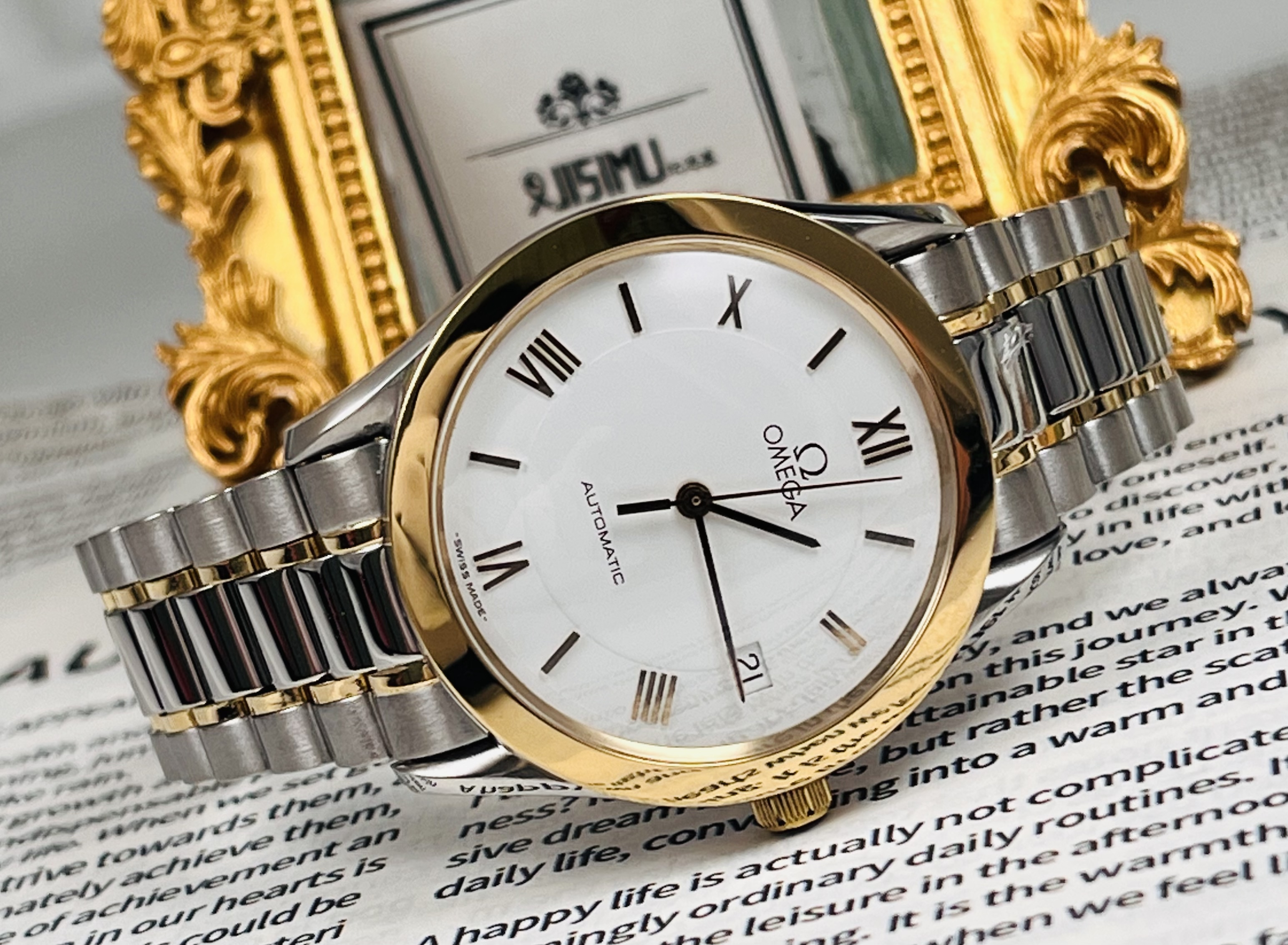 Omega Vintage detail 1