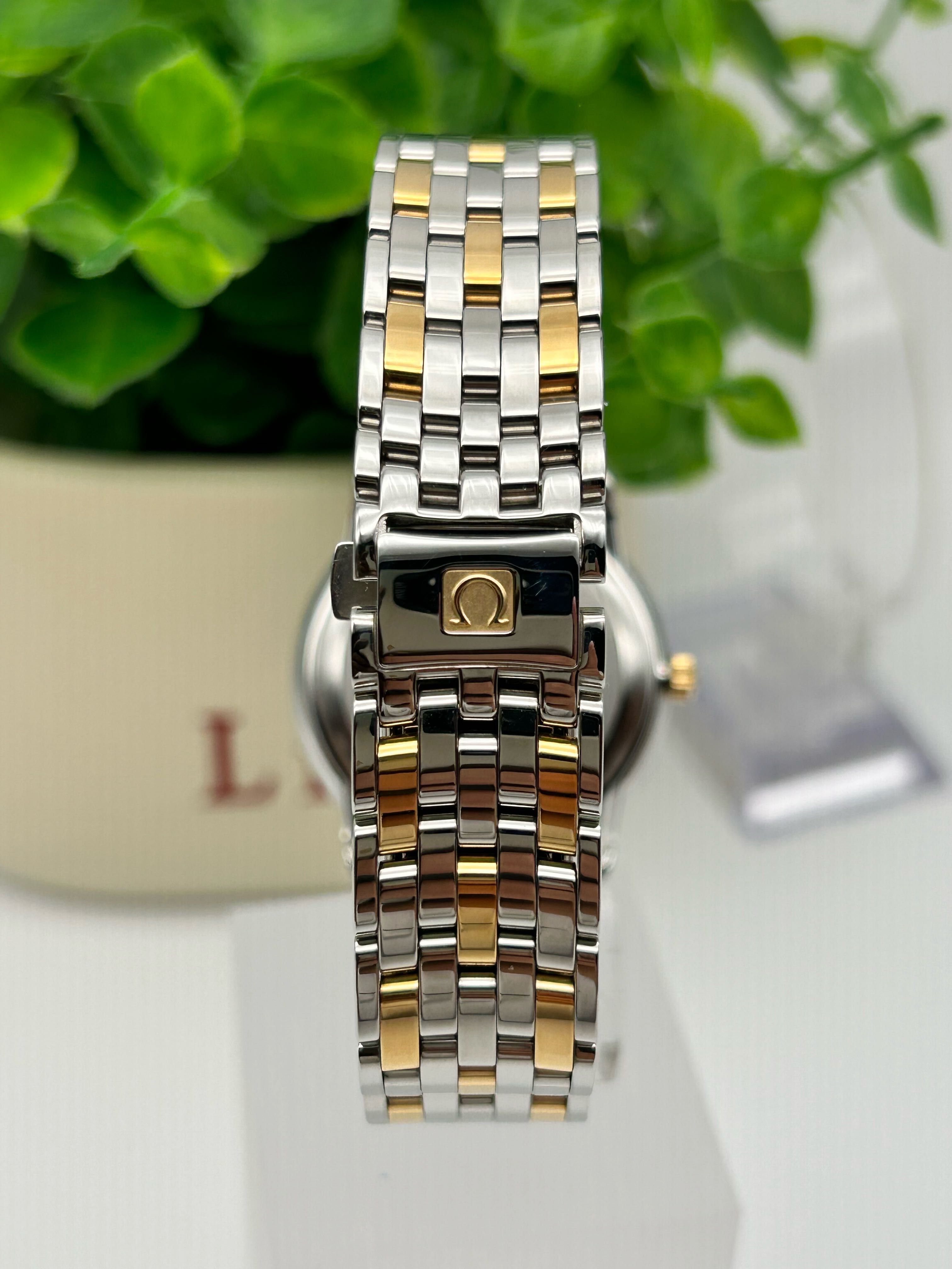 Omega 4300.31.00 detail 3