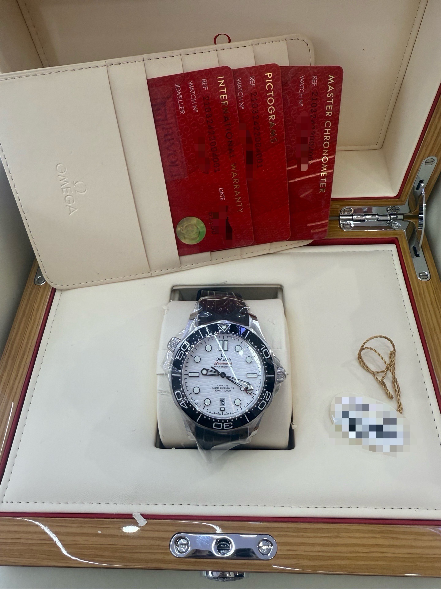 Omega 210.32.42.20.04.001 detail 6
