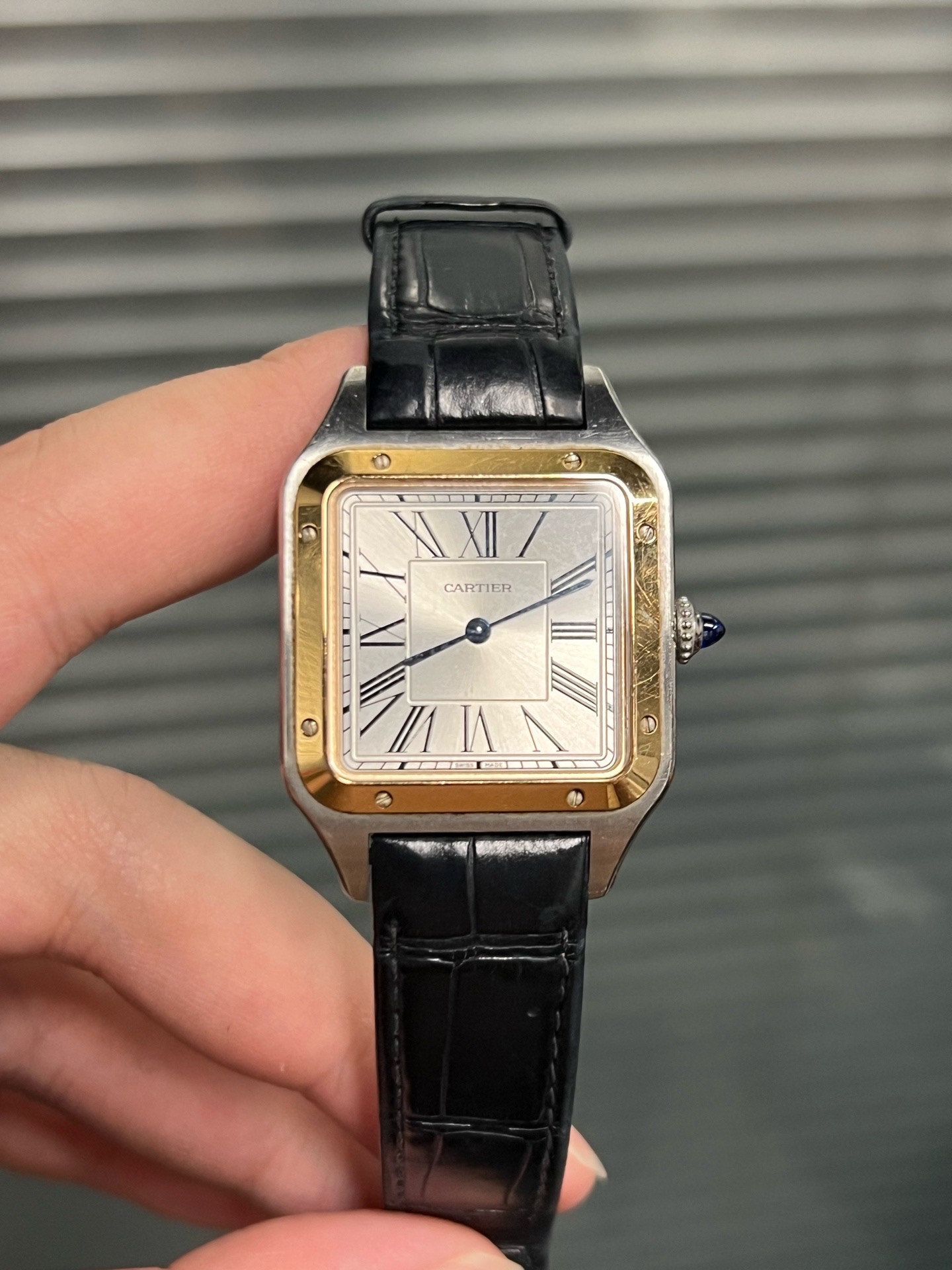 Cartier W2SA0011