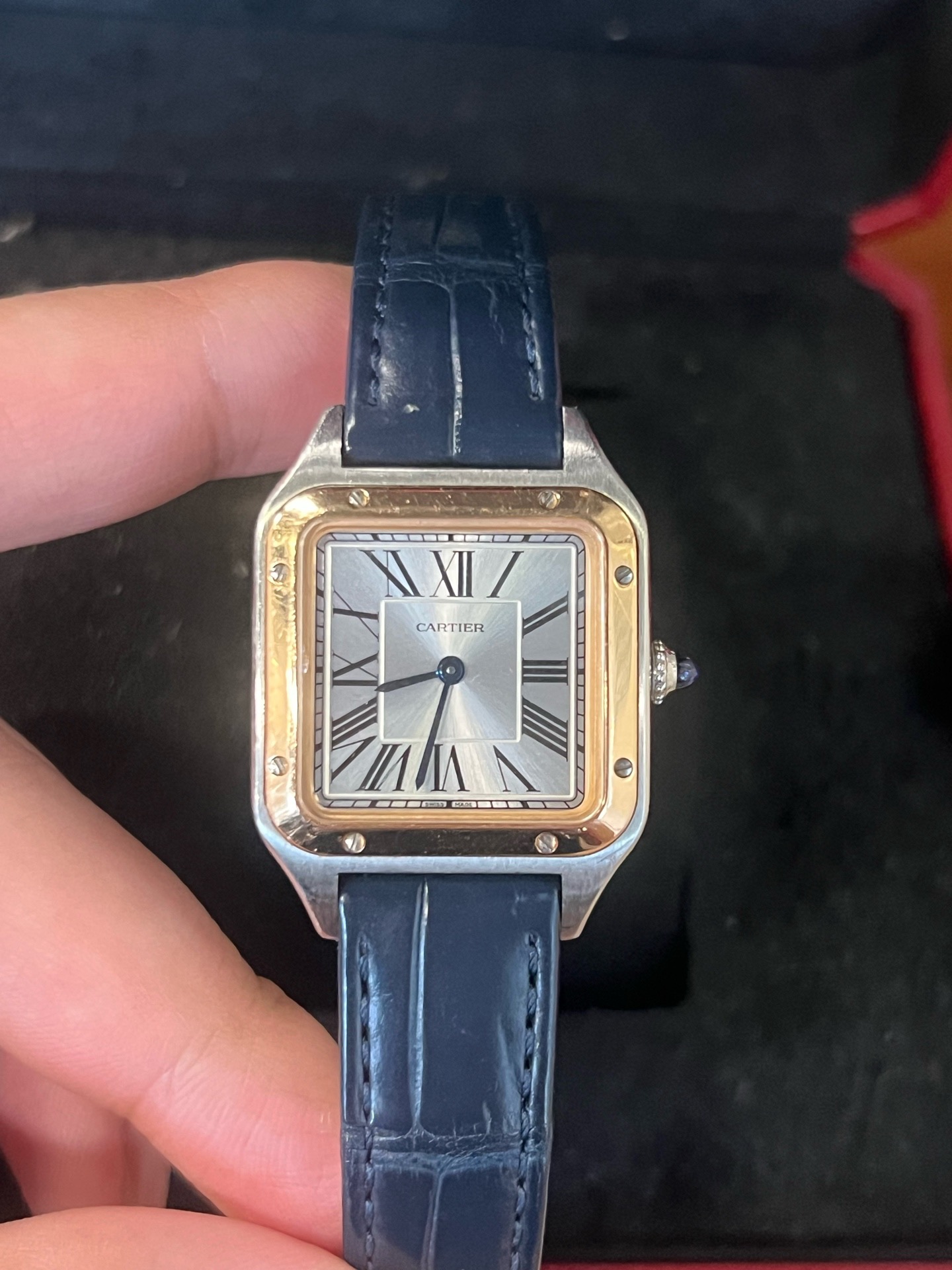Cartier W2SA0012