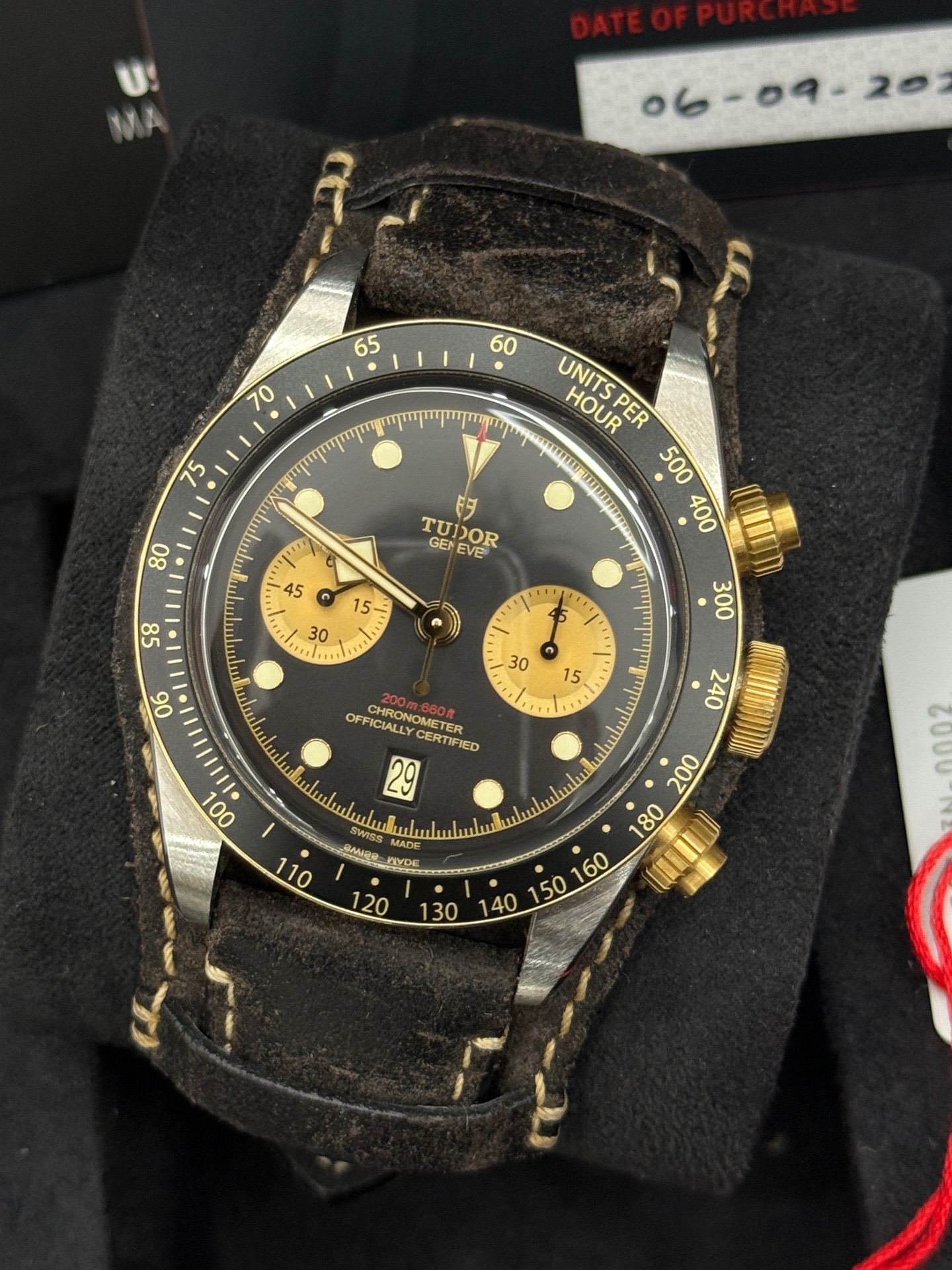 Tudor M79363N-0002 detail 1