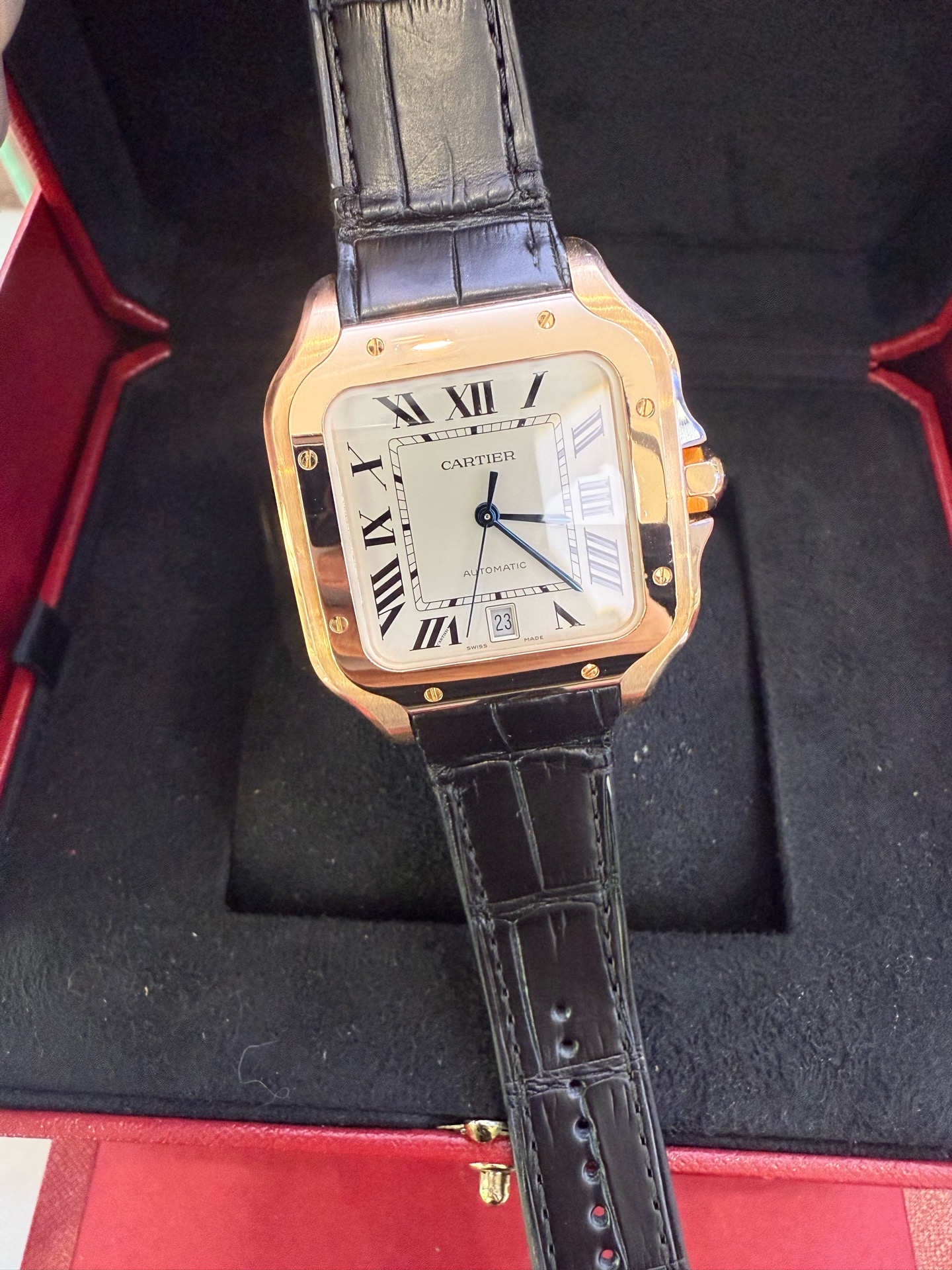 Cartier WGSA0019