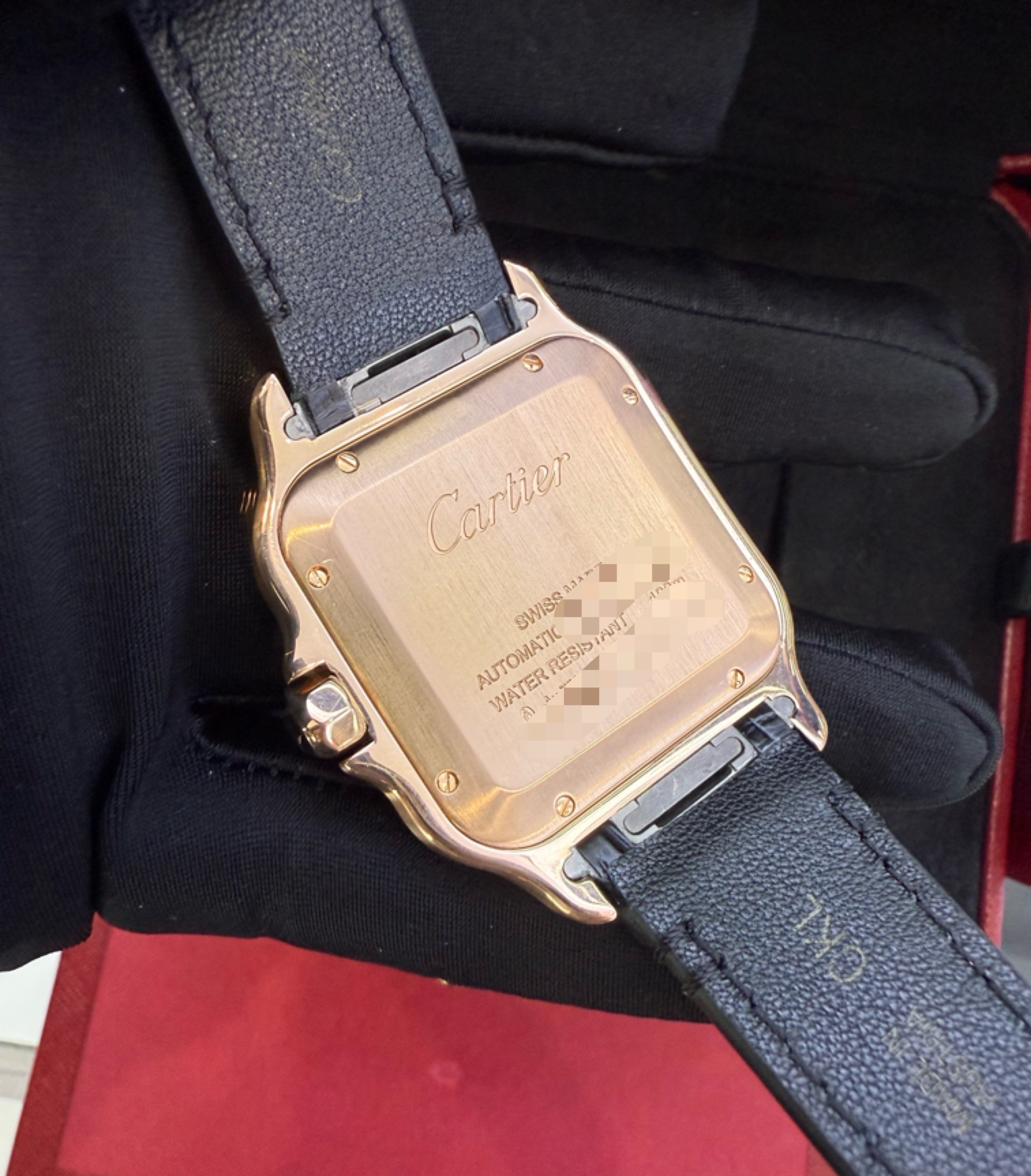 Cartier WGSA0019 detail 3