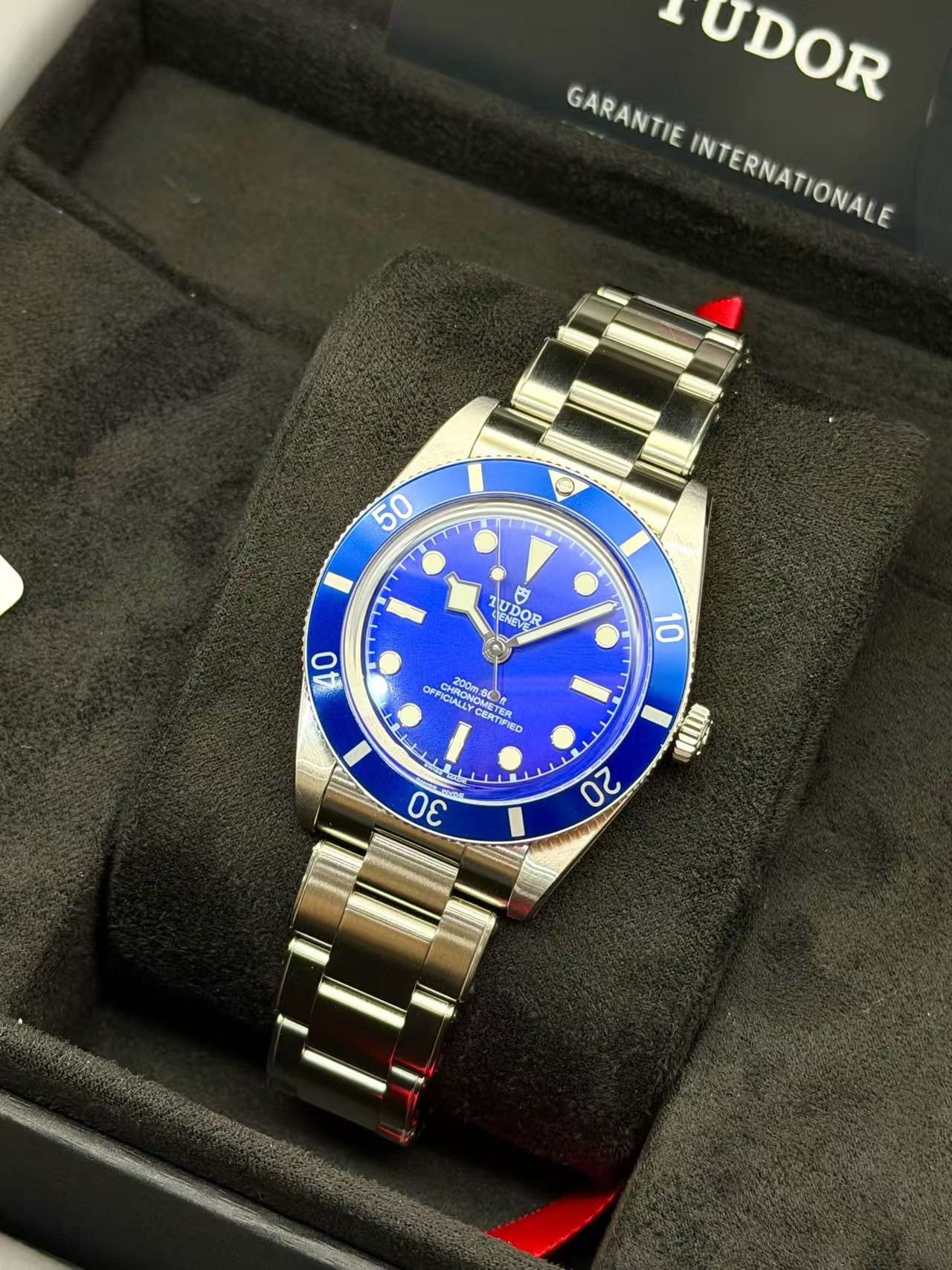 Tudor m79000B-0001 detail 1