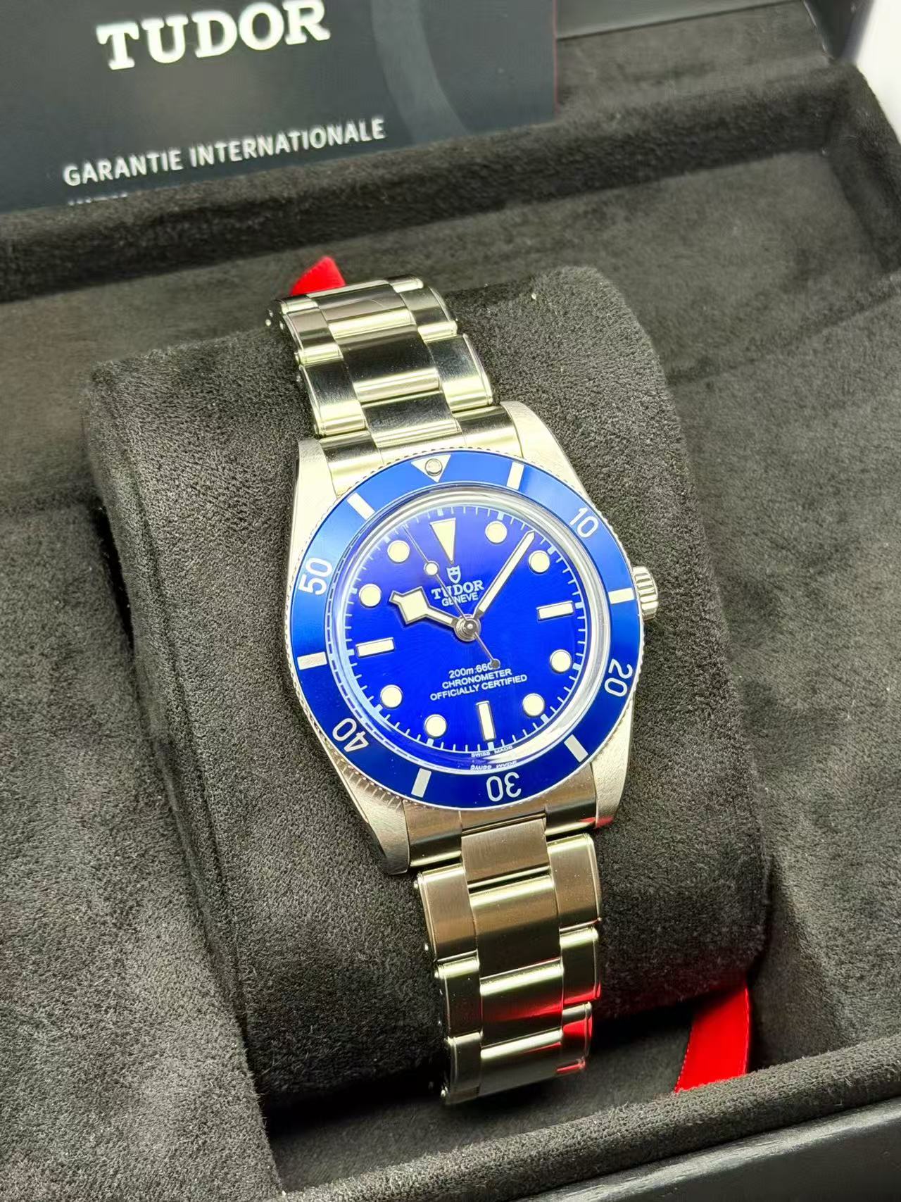 Tudor m79000B-0001 detail 2