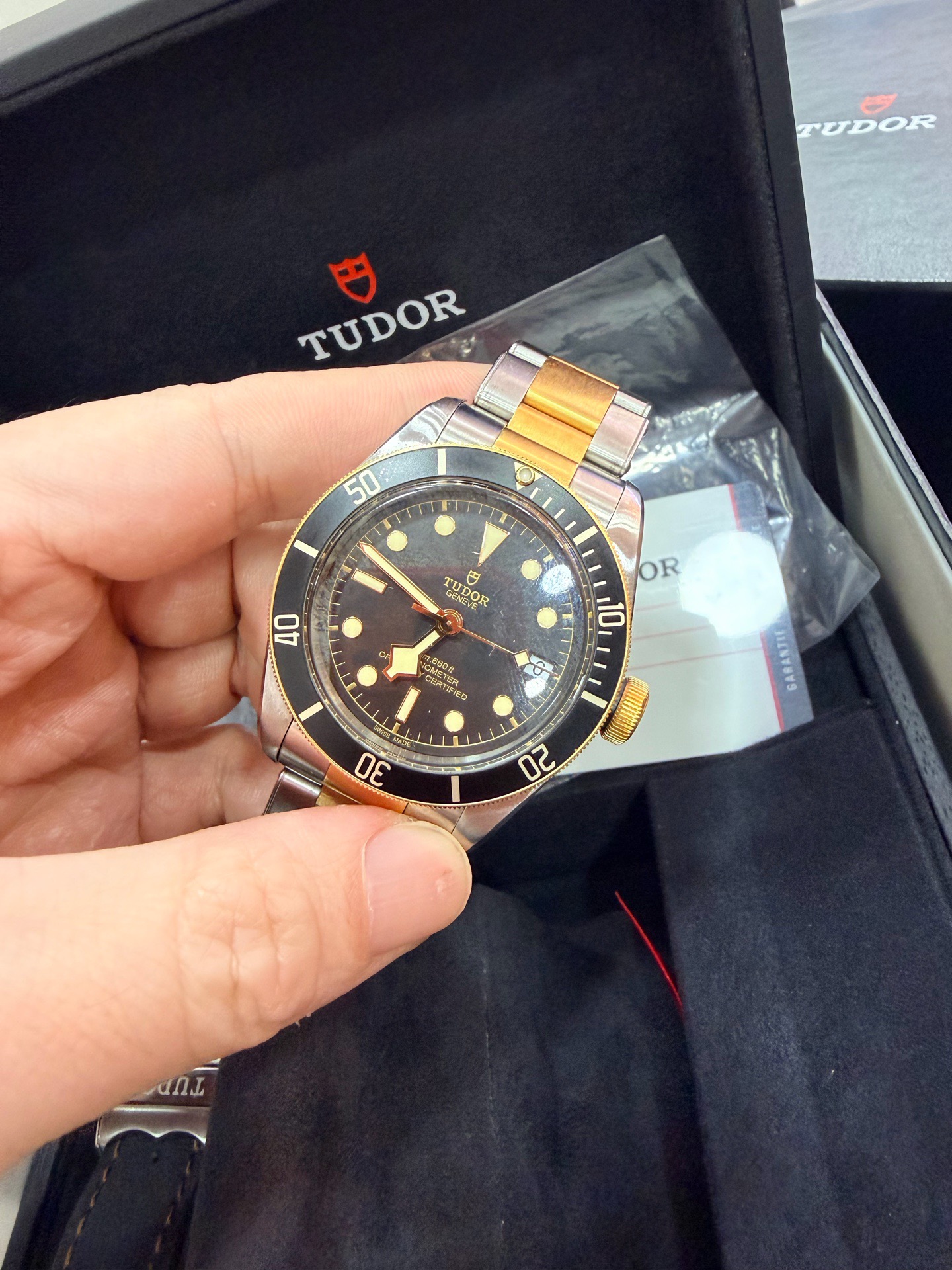 Tudor m79733n-0008 detail 2