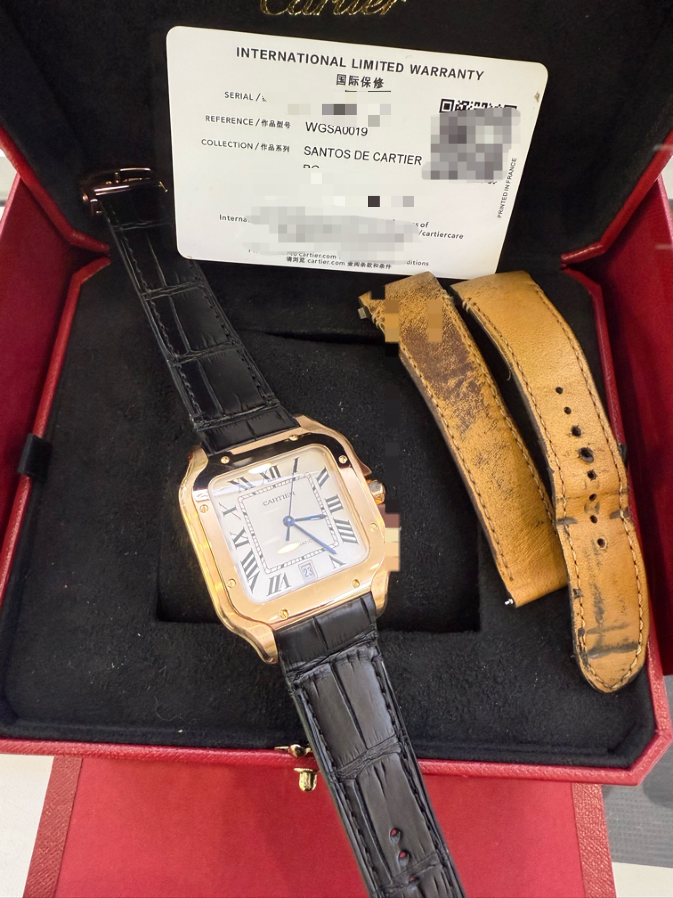 Cartier WGSA0019 detail 5