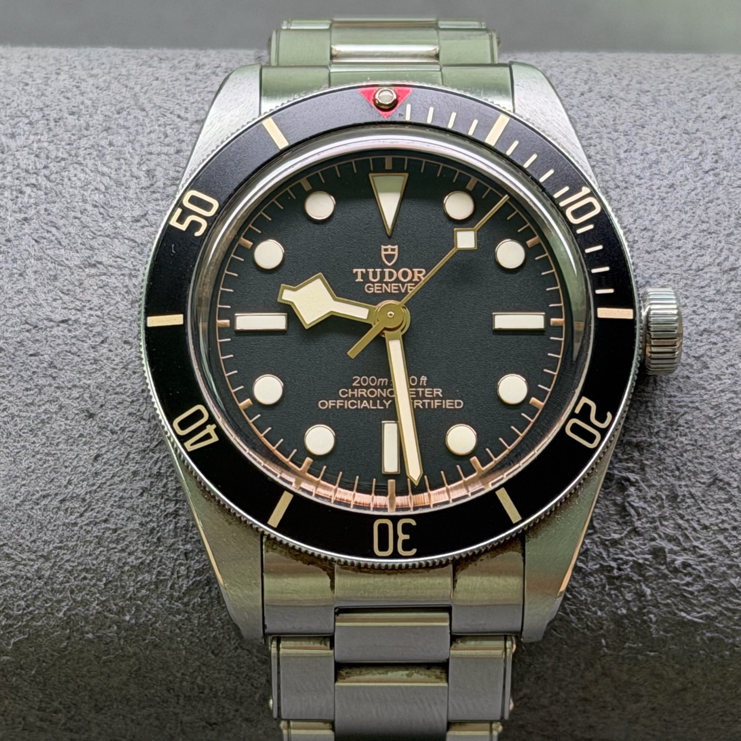 Tudor m79030n-0001