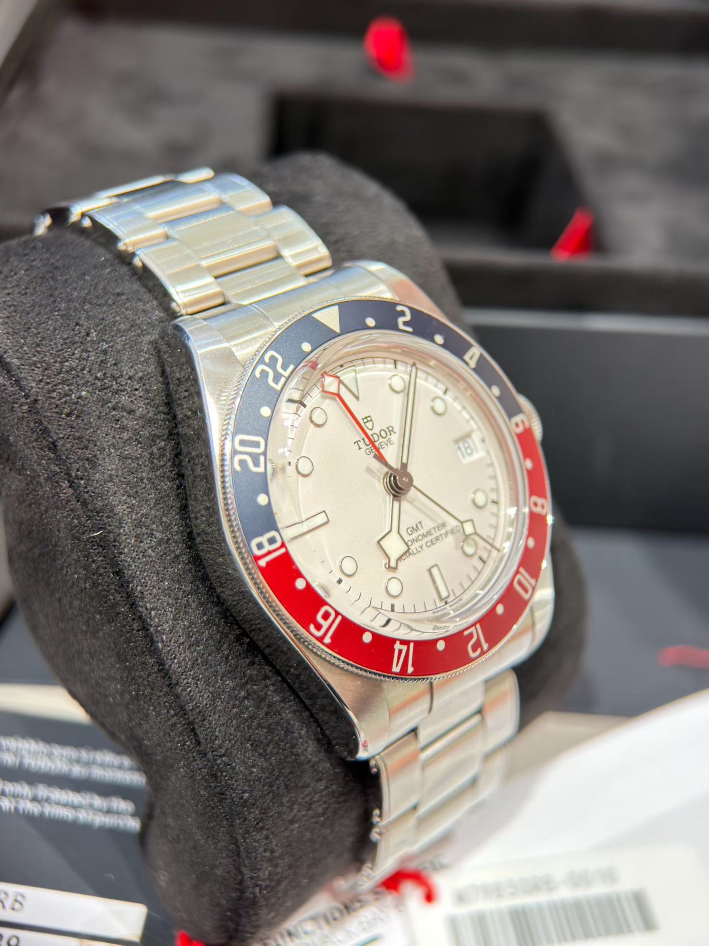 Tudor m79830rb-0010 detail 2