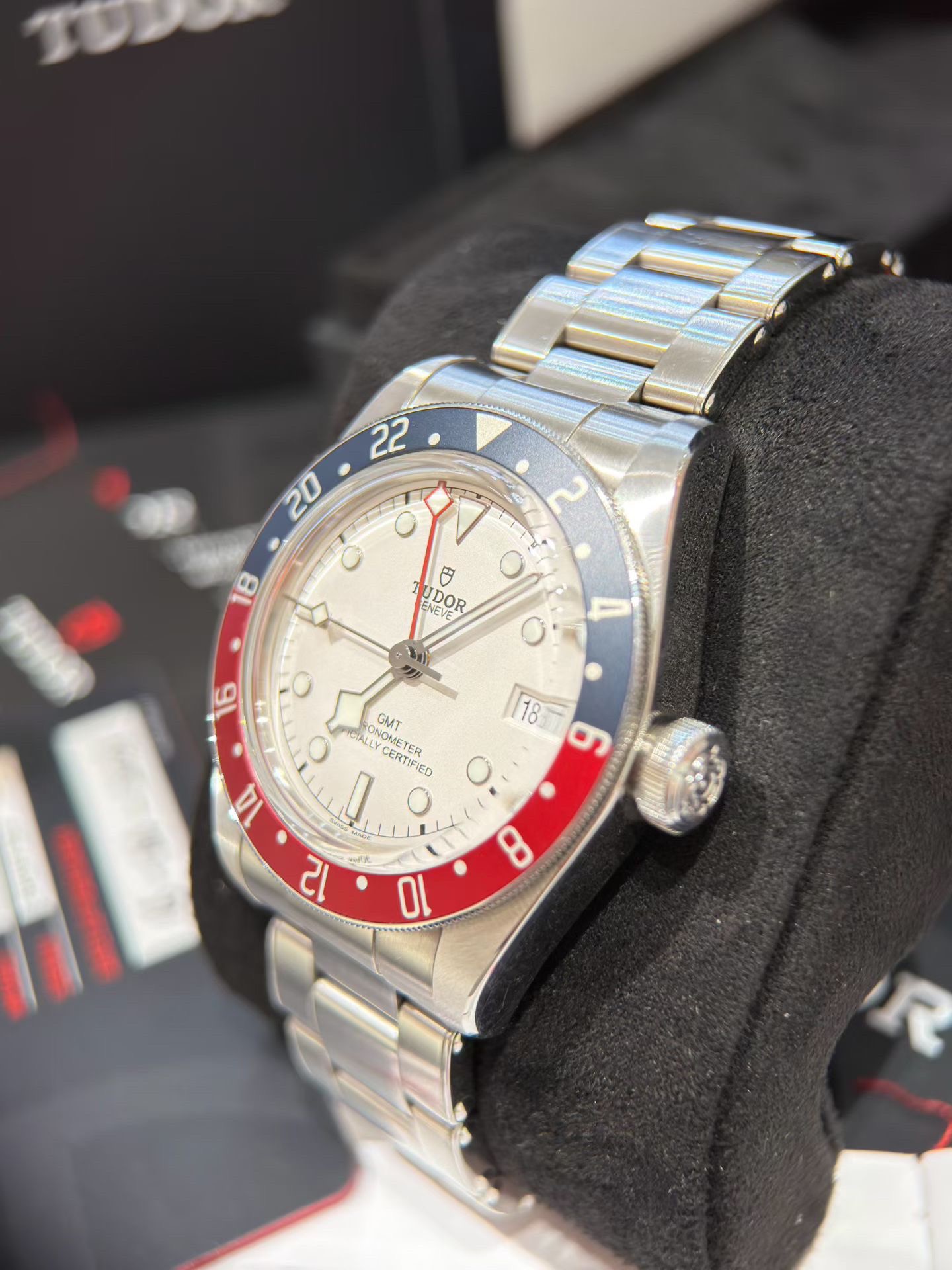 Tudor m79830rb-0010 detail 3