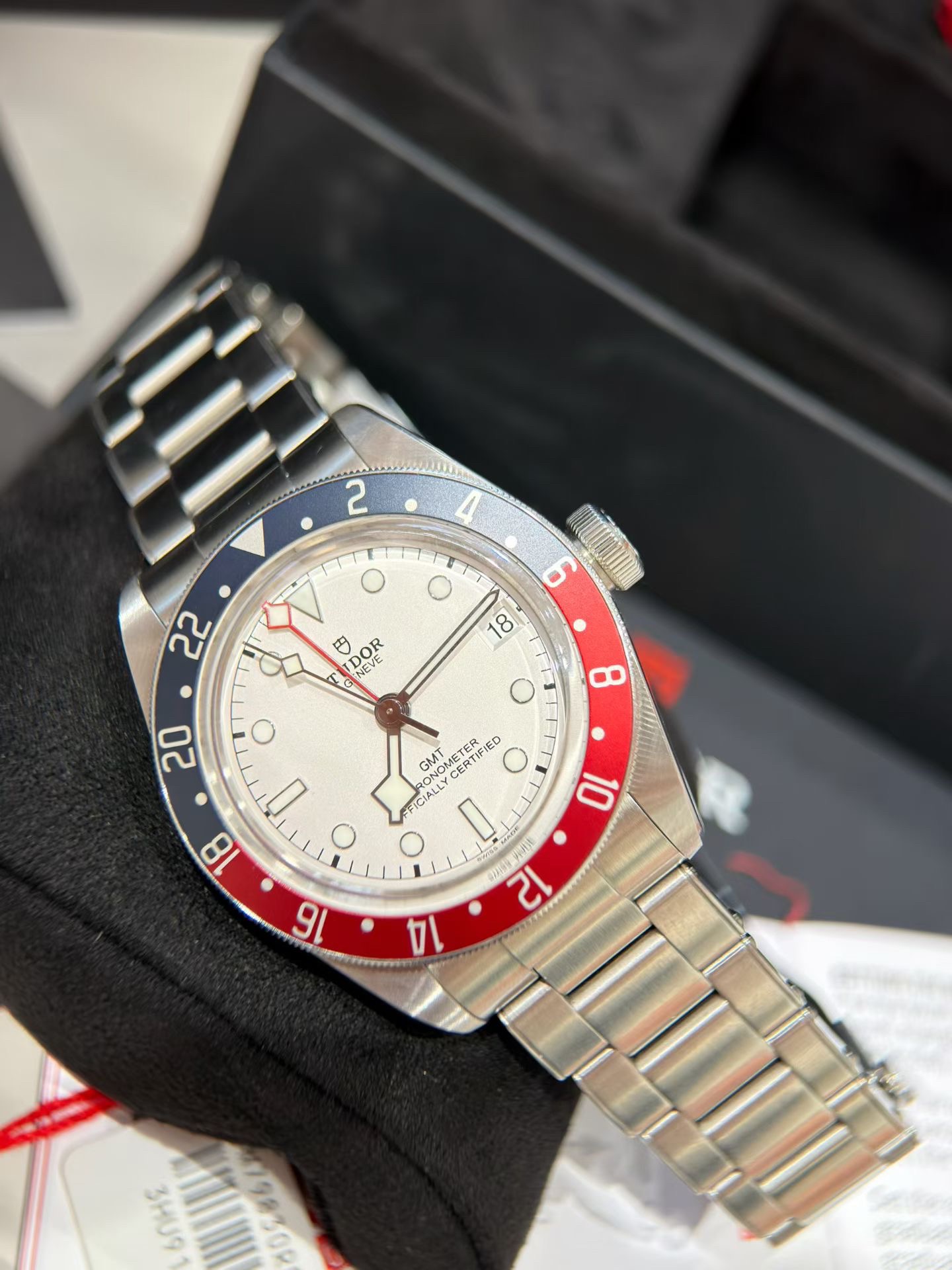 Tudor m79830rb-0010 detail 4