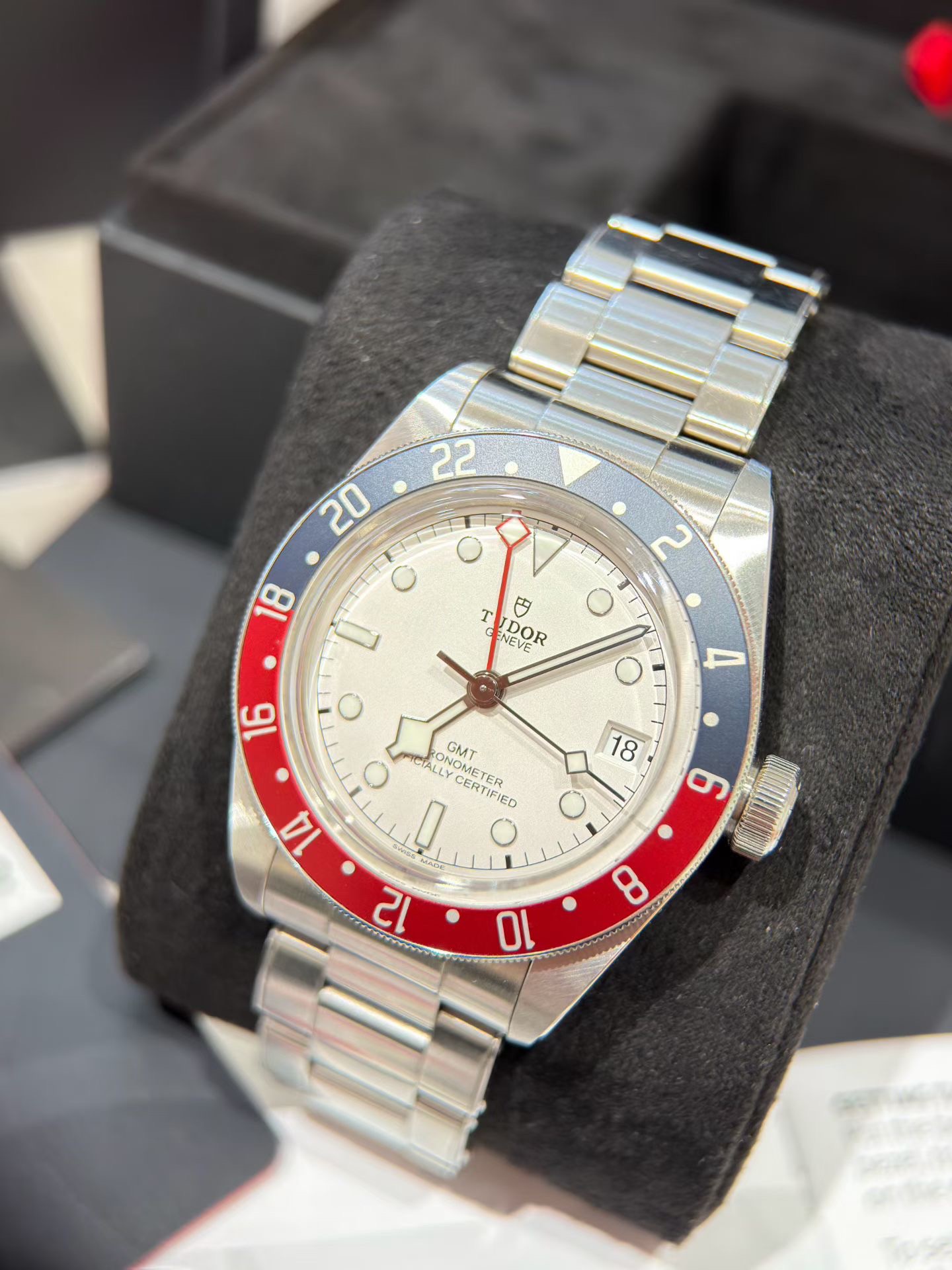 Tudor m79830rb-0010 detail 1