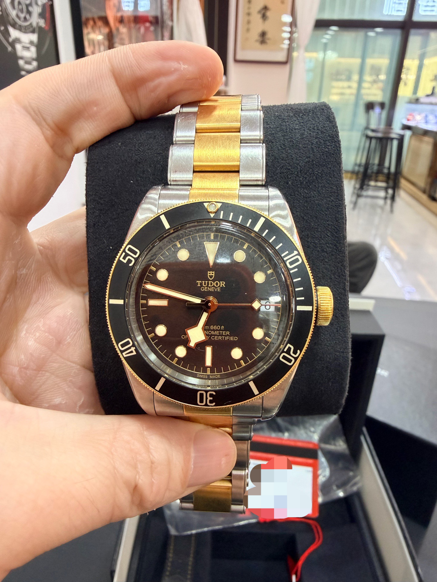 Tudor m79733n-0008