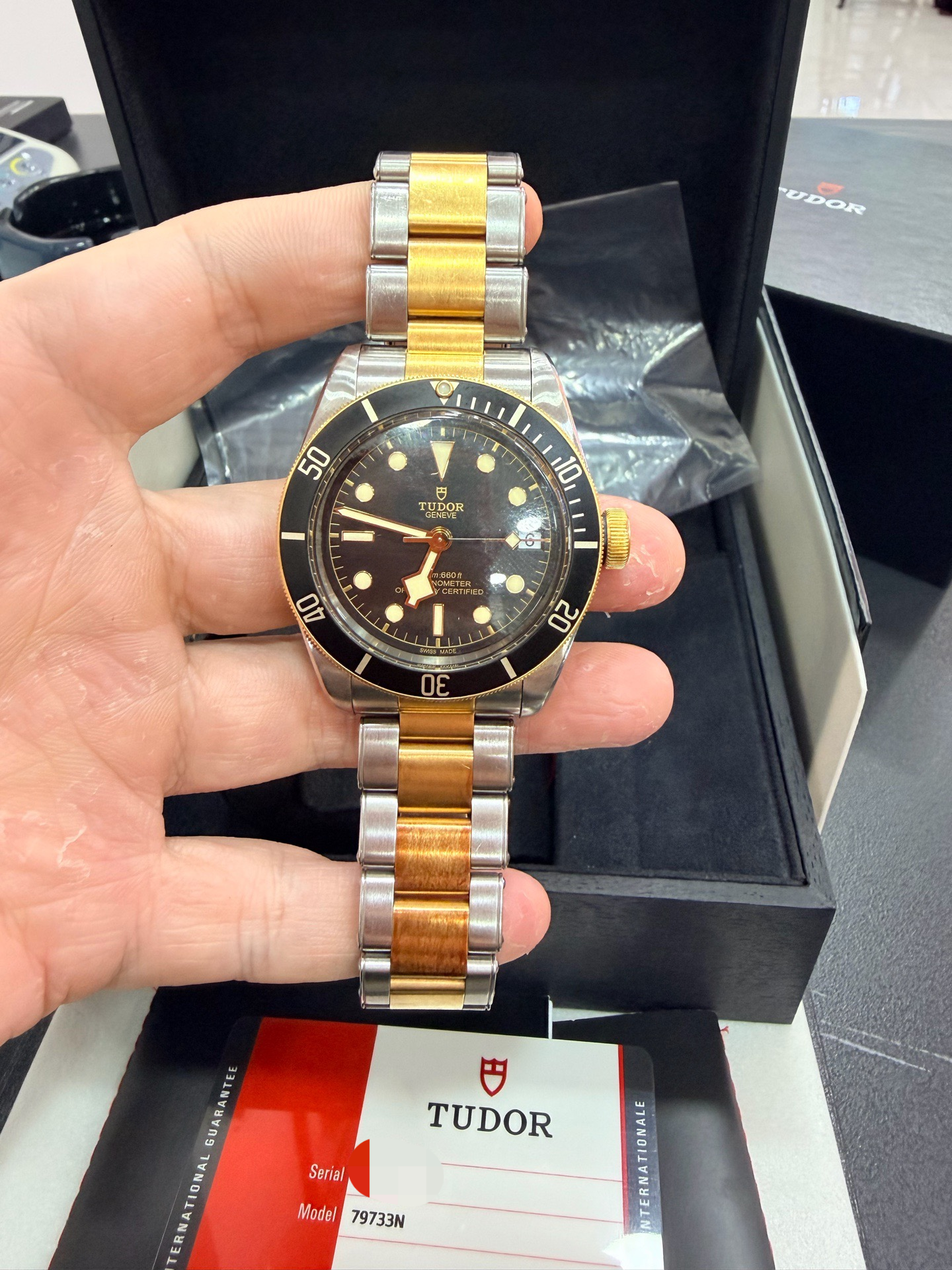 Tudor m79733n-0008 detail 1