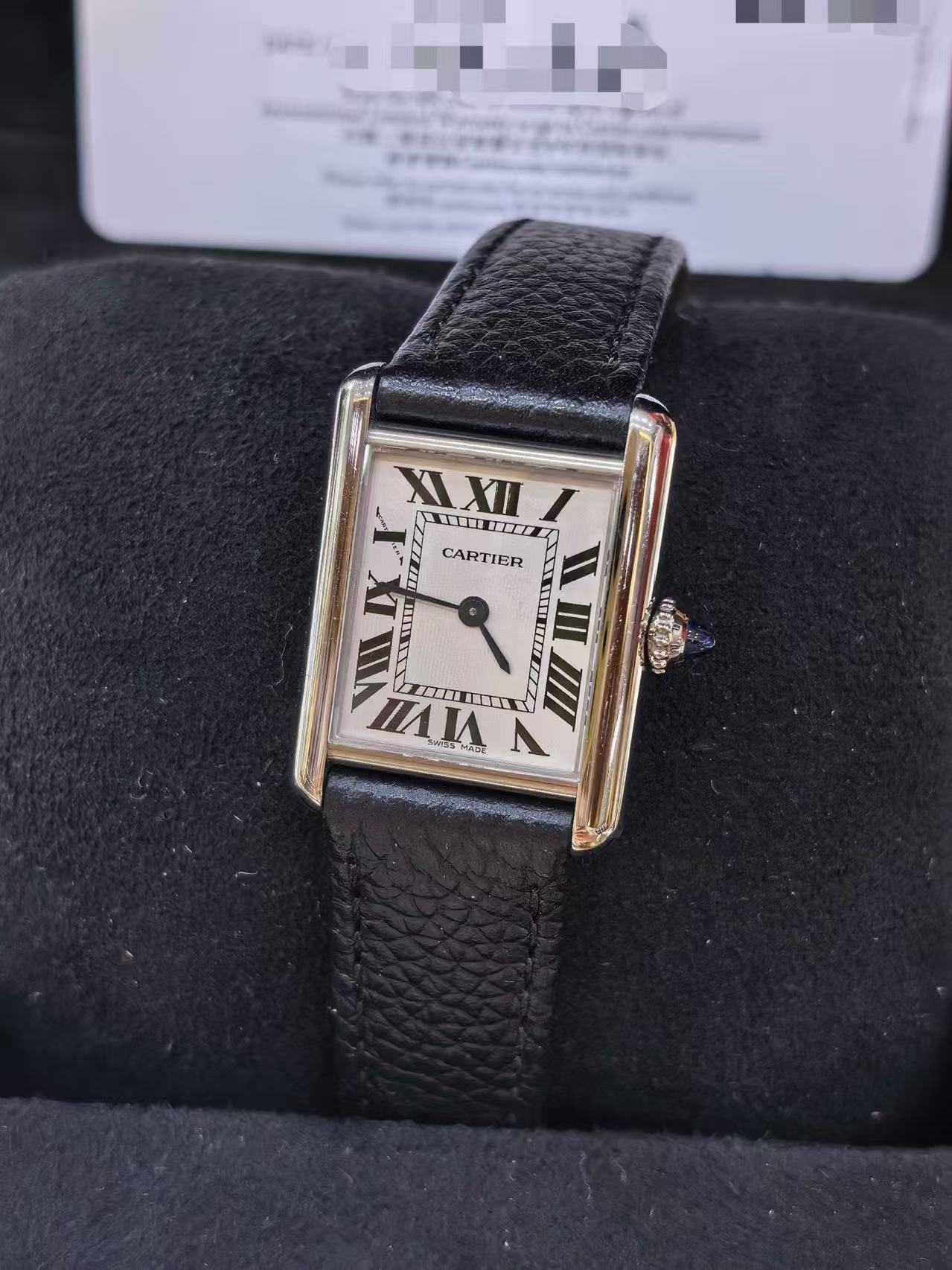 Cartier WSTA0119