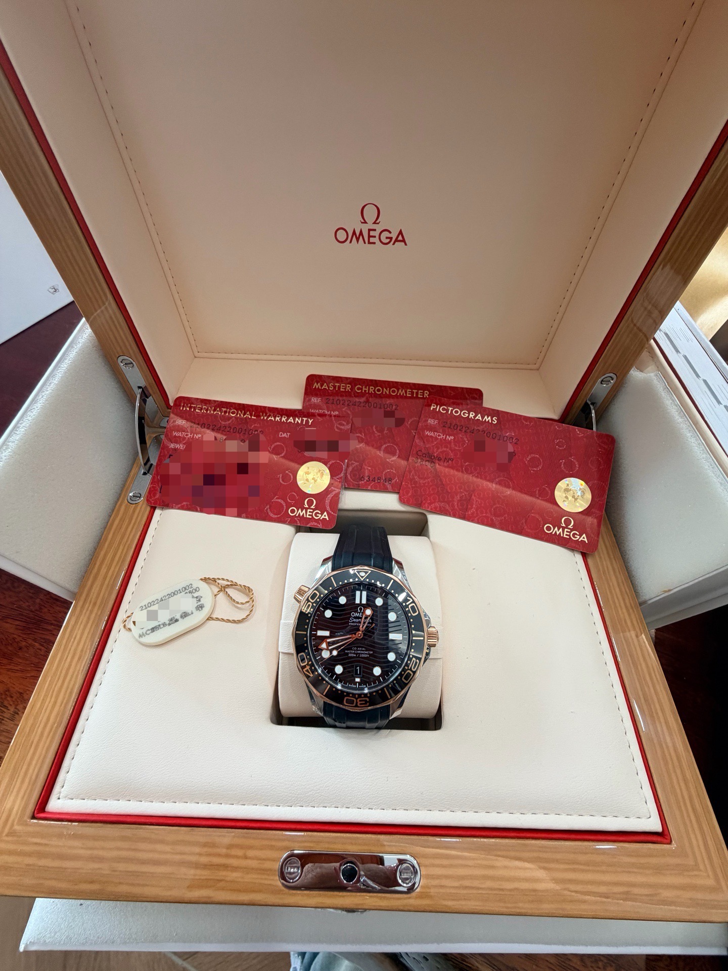 Omega 210.22.42.20.01.002