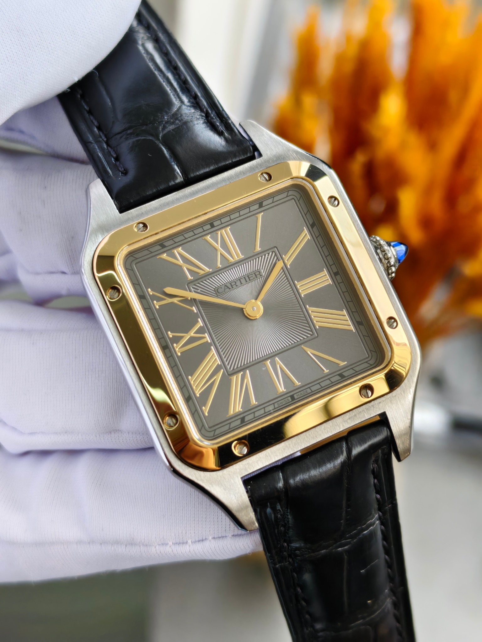 Cartier W2SA0028