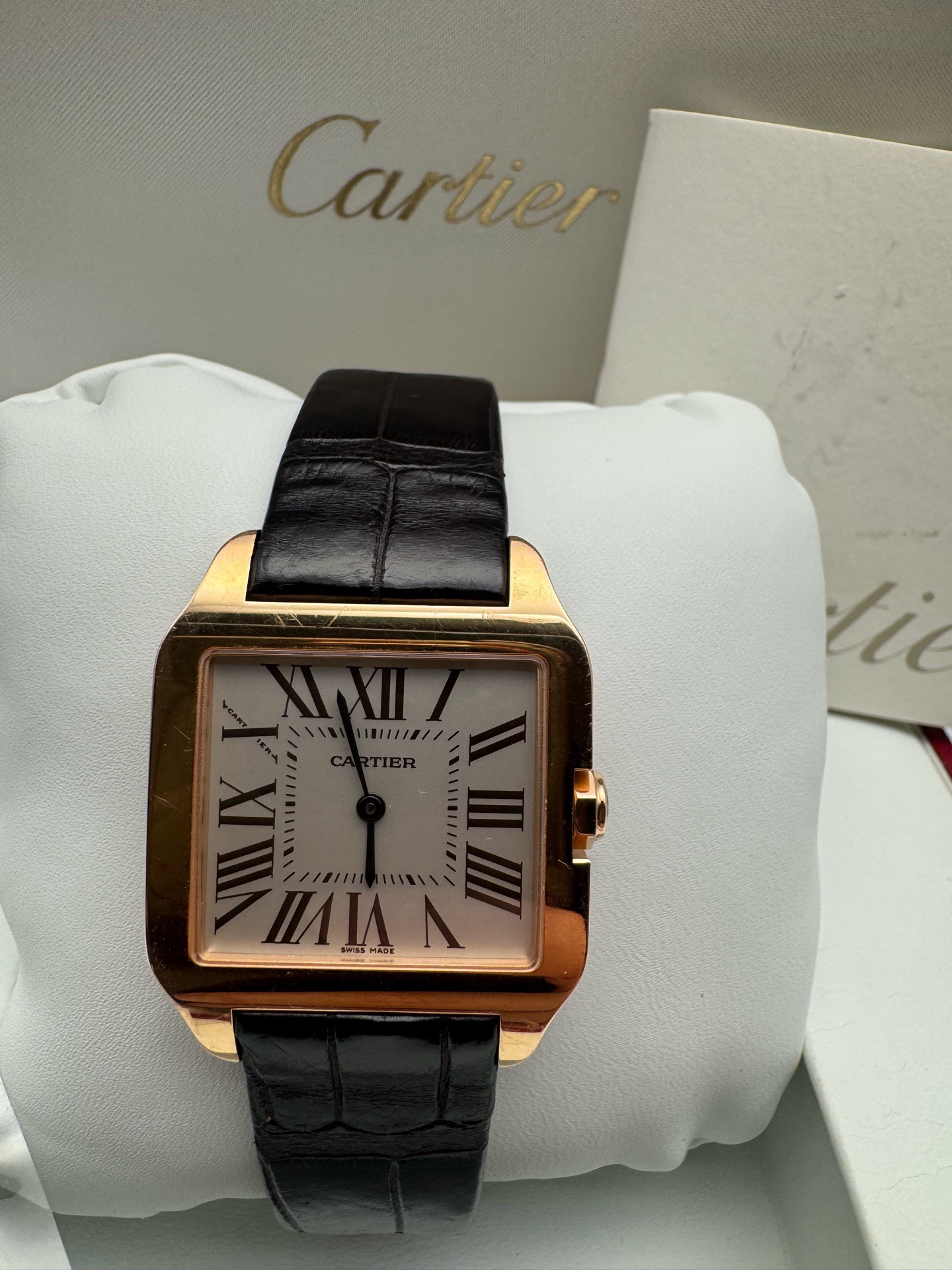 Cartier W2009251