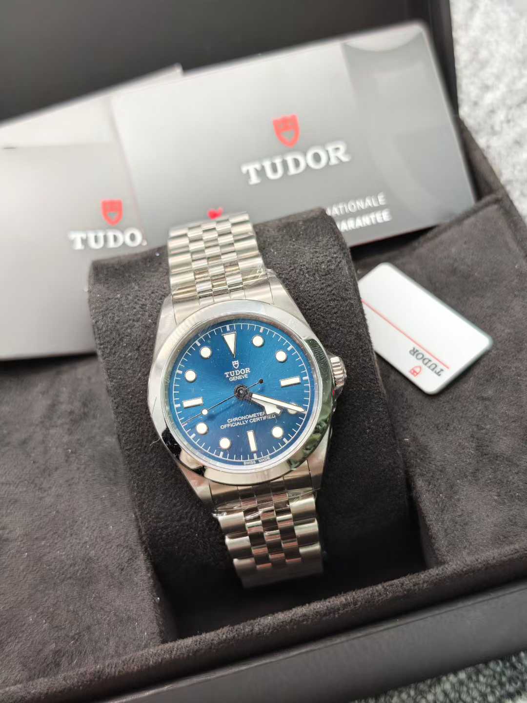Tudor m79660-0002 detail 1