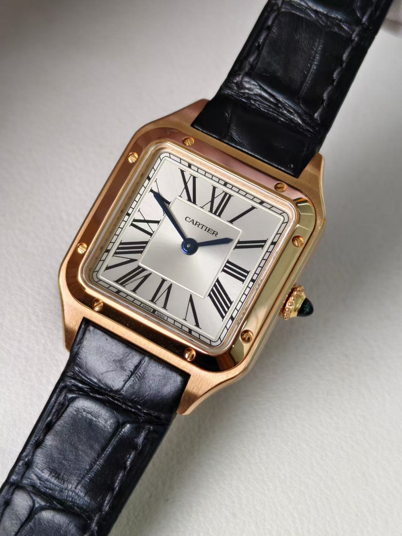 Cartier WGSA0022