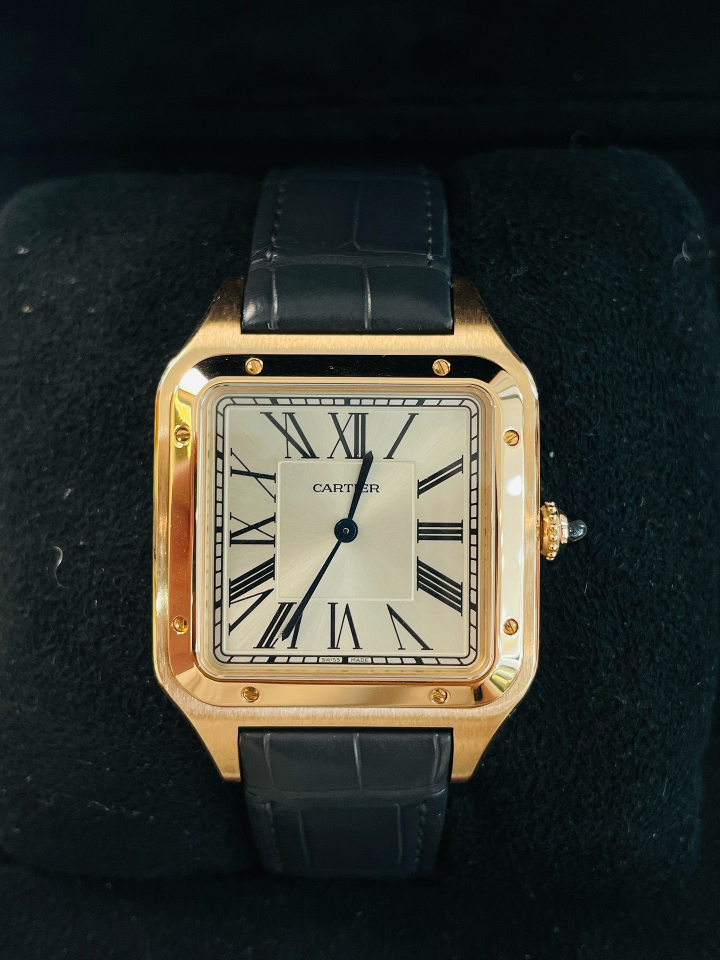 Cartier WGSA0032