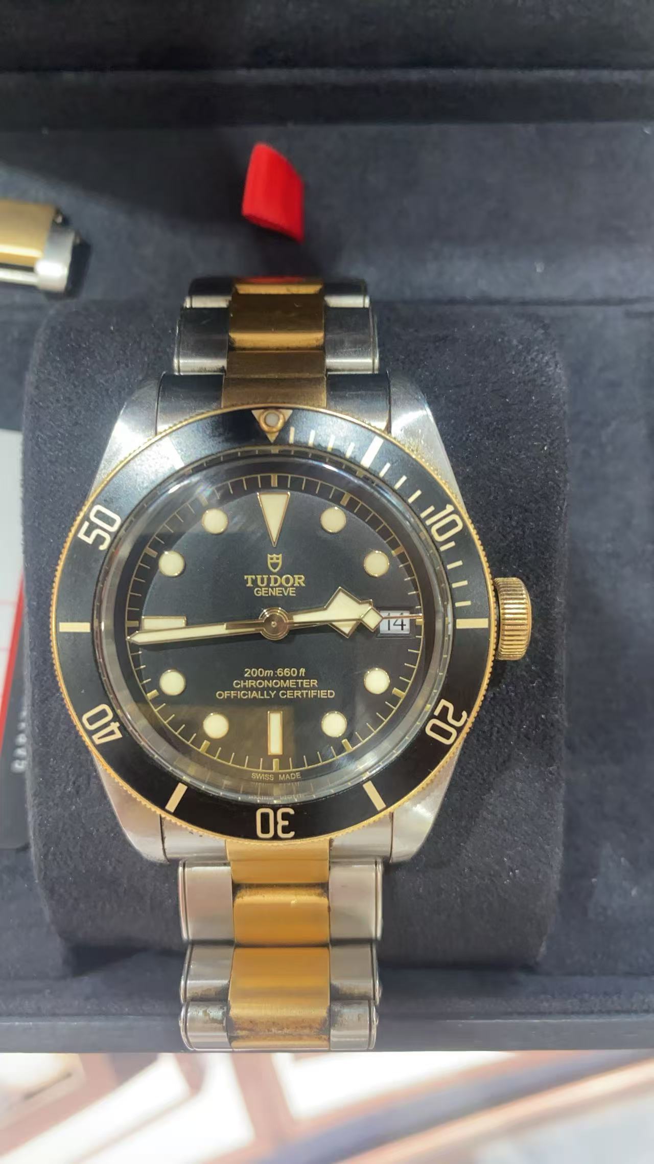 Tudor 79733N