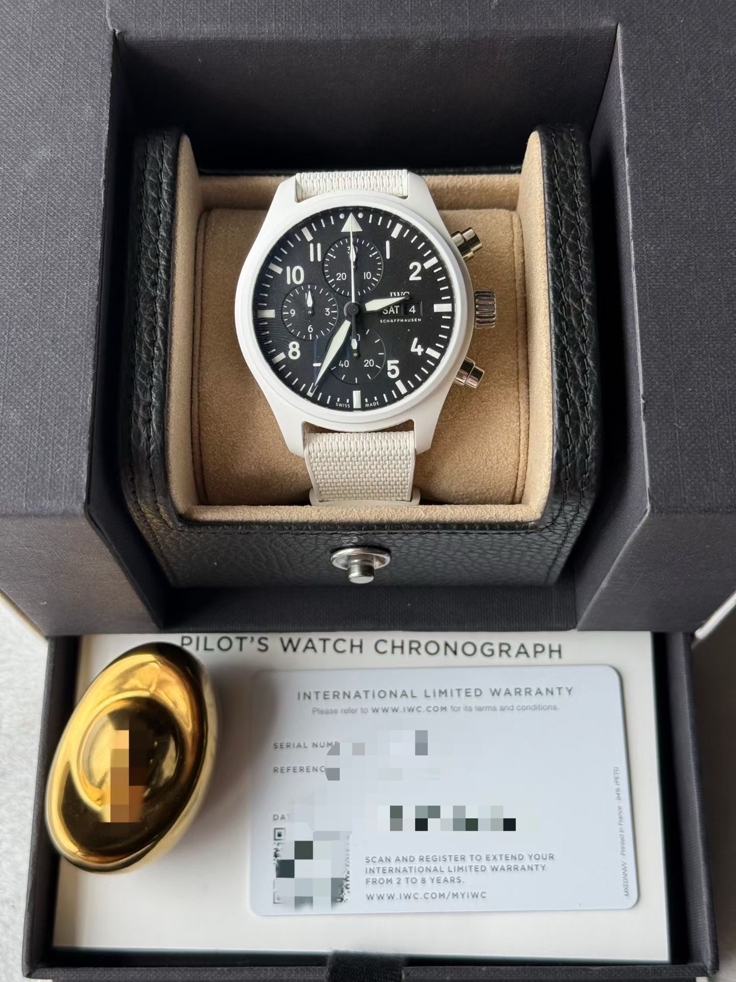 IWC IW389105