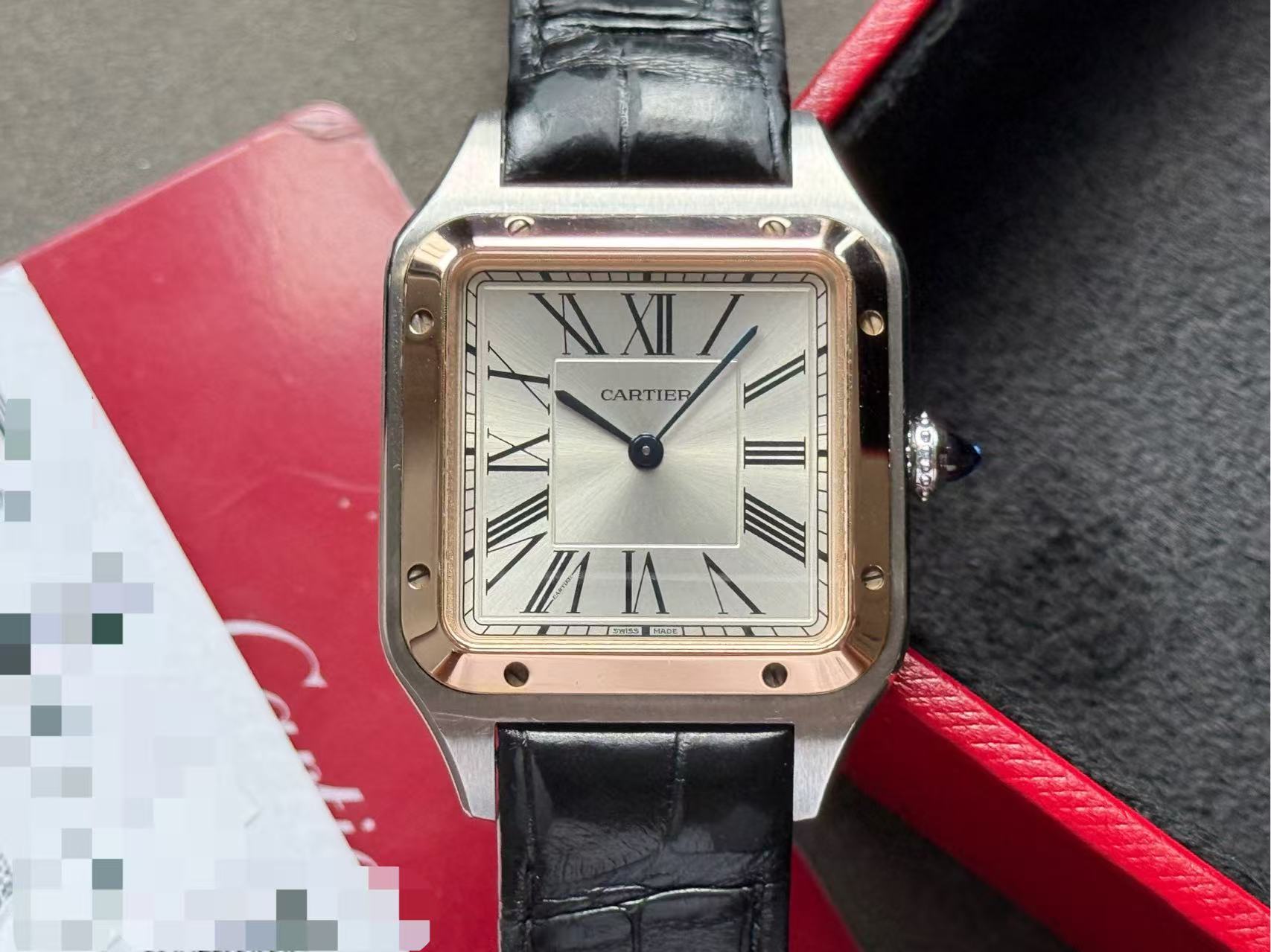 Cartier W2SA0011