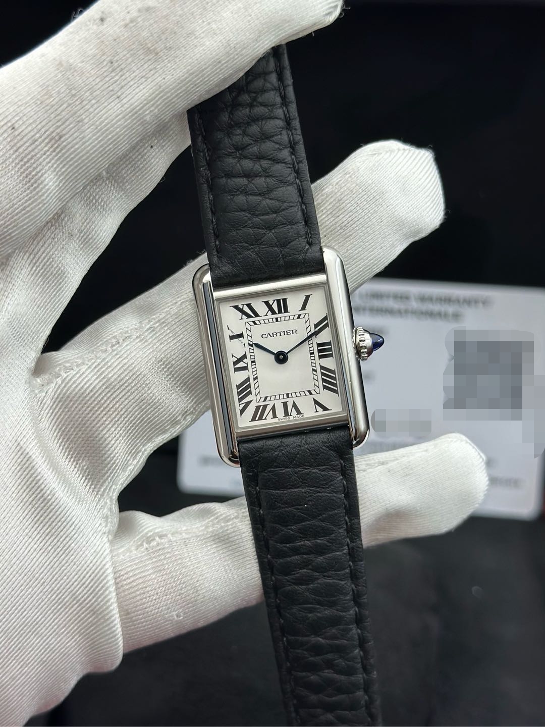 Cartier WSTA0042