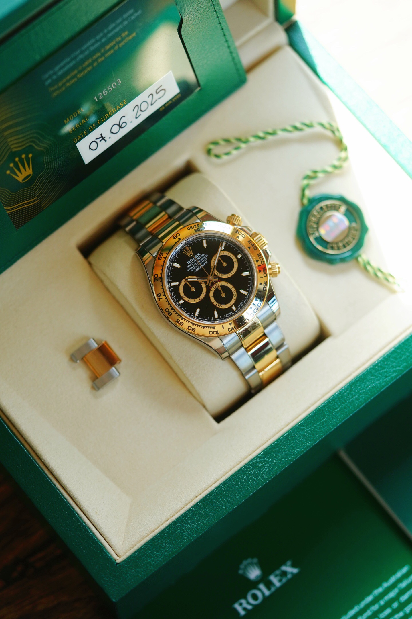 Rolex 126503