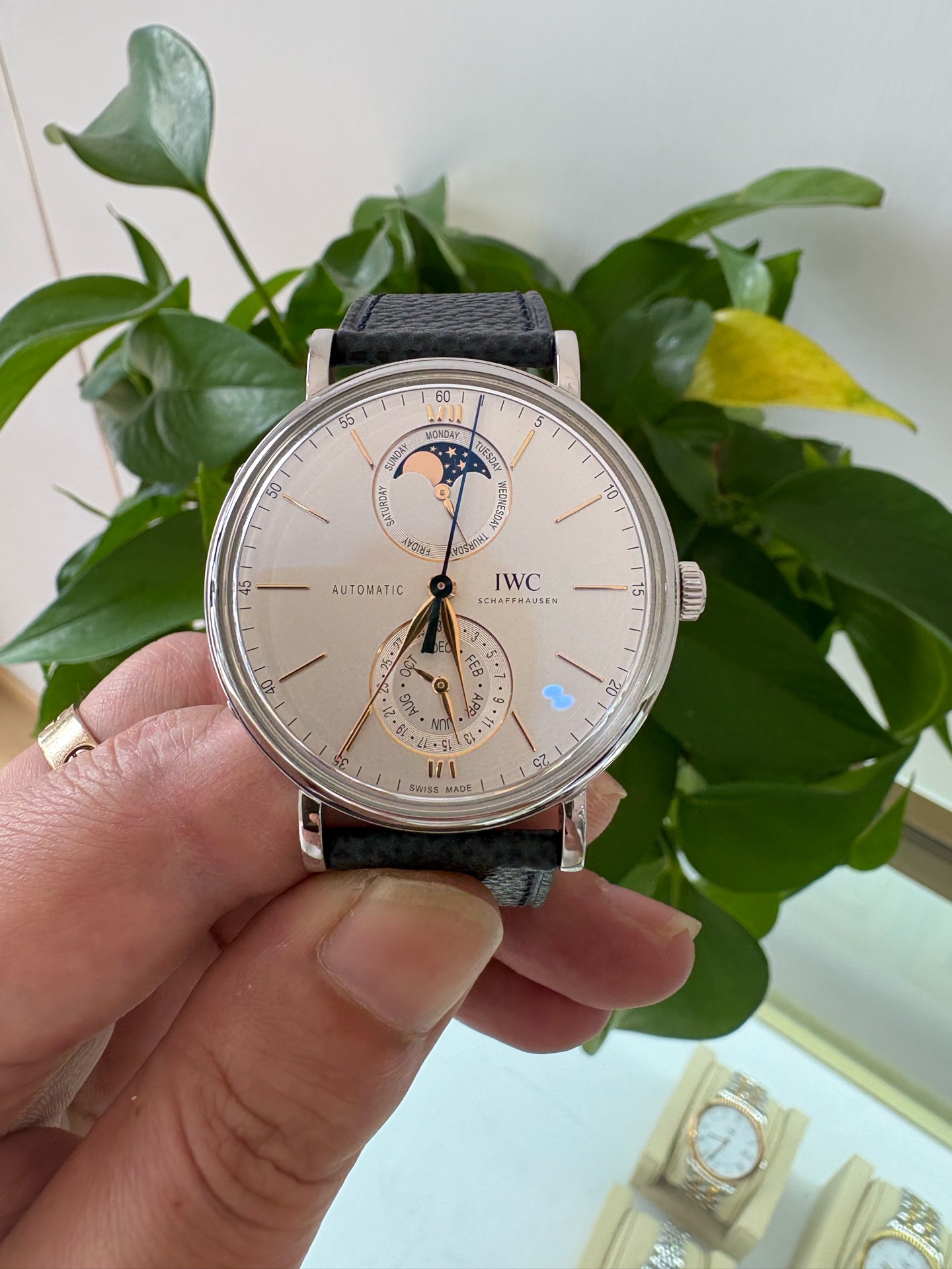 IWC IW359001