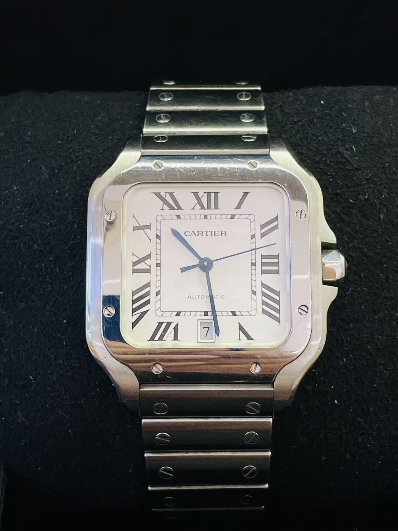 Cartier WSSA0018