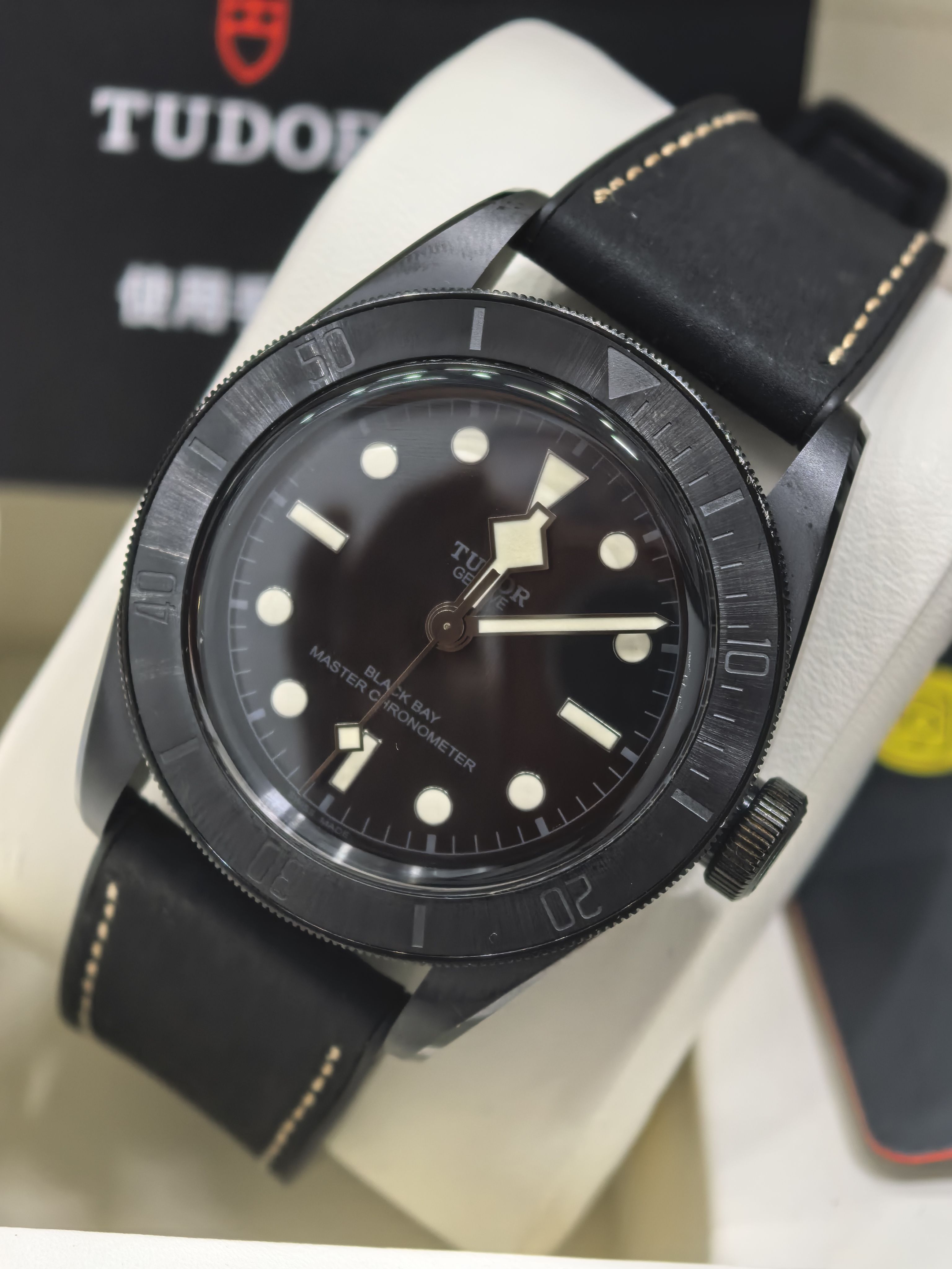 Tudor 79210