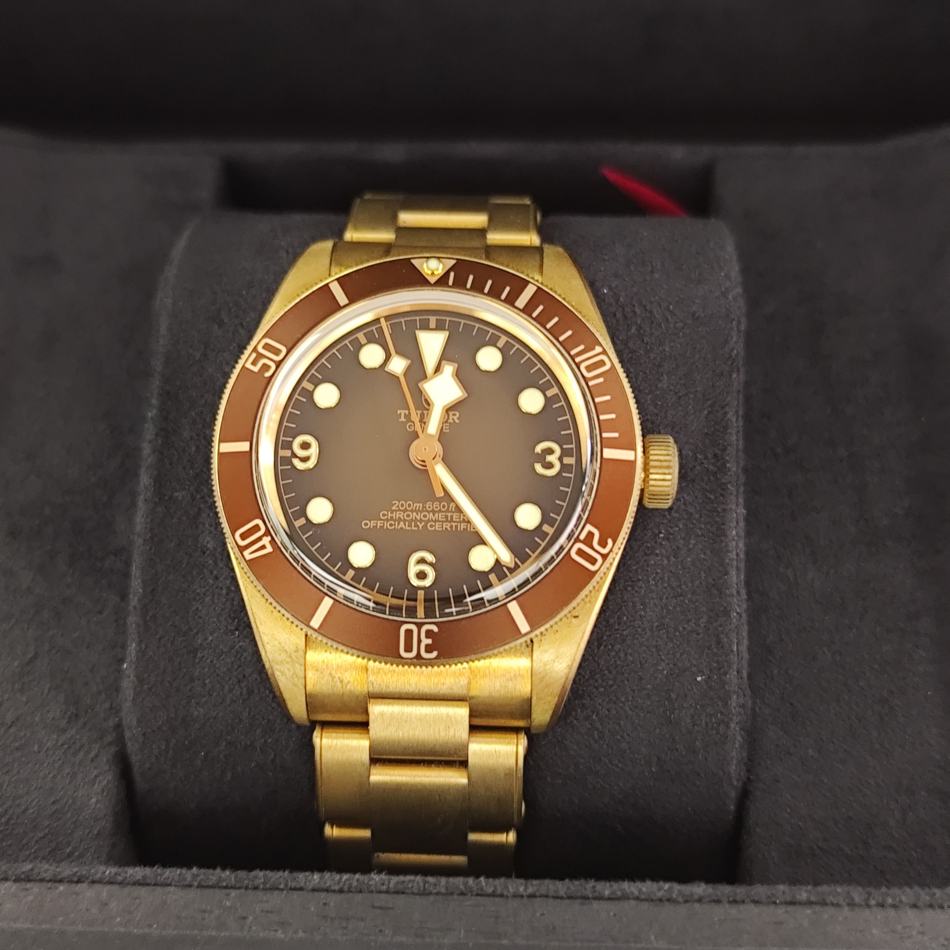 Tudor m79012m-0001