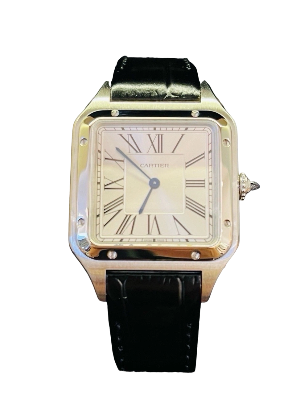 Cartier WSSA0022