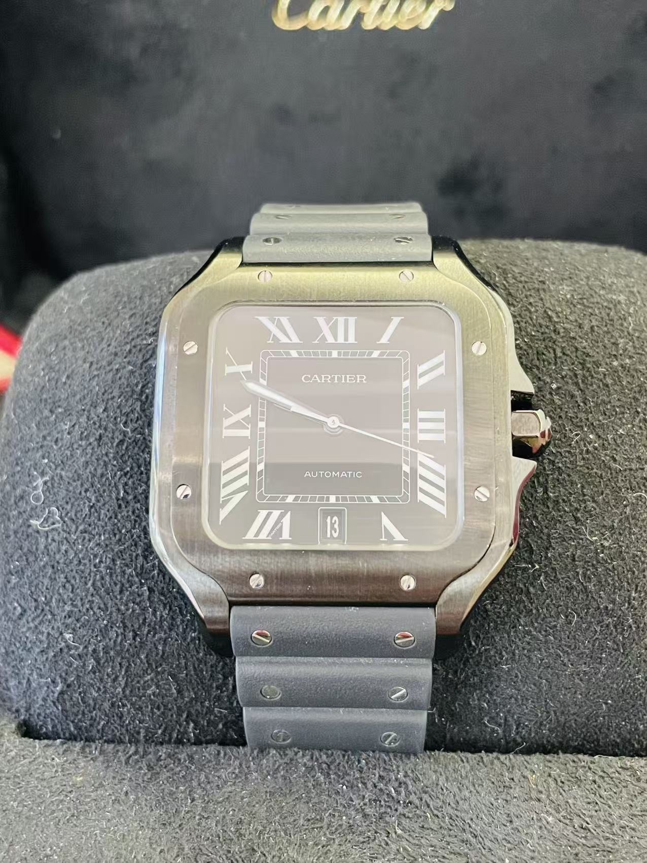 Cartier WSSA0039