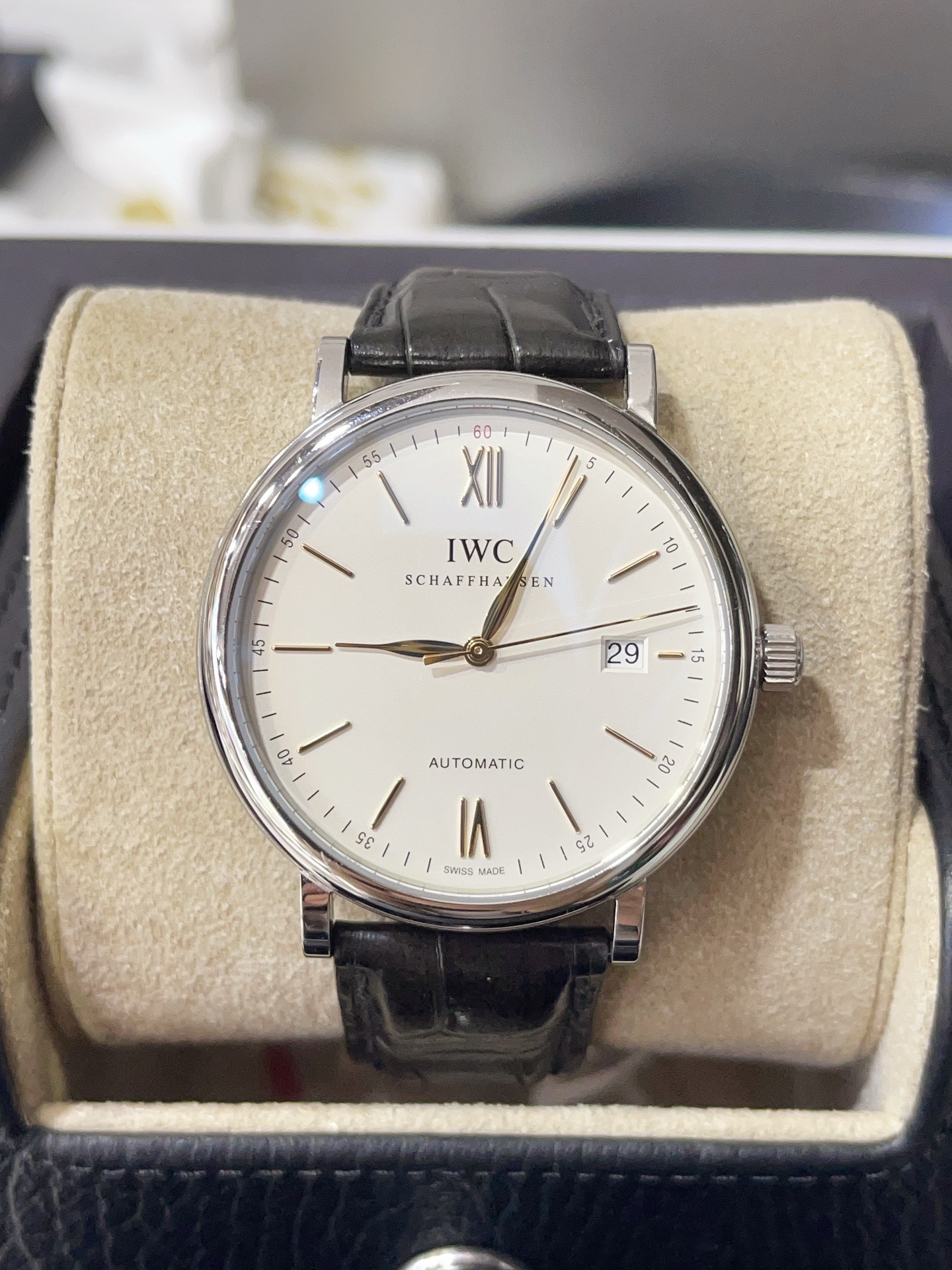 IWC IW356517
