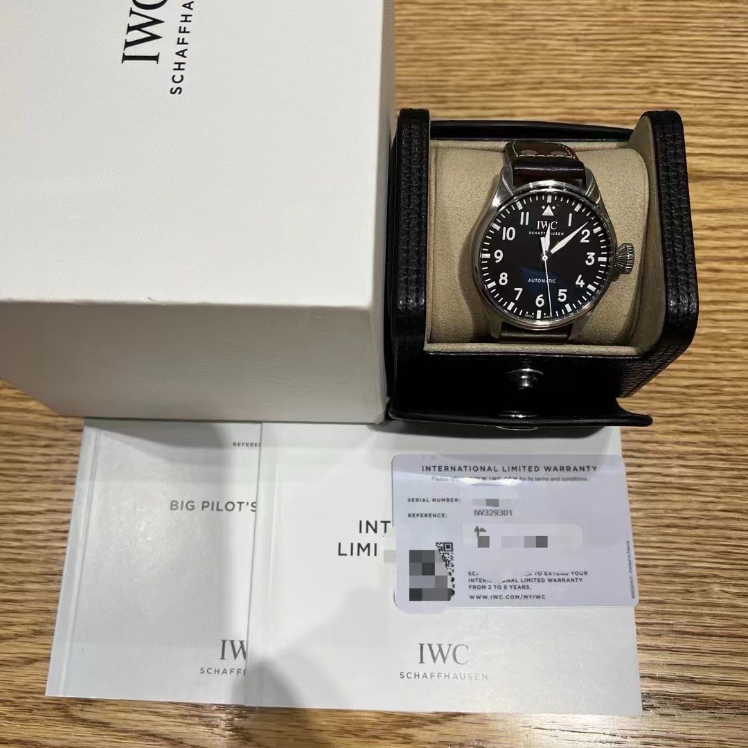 IWC 329301 detail 8