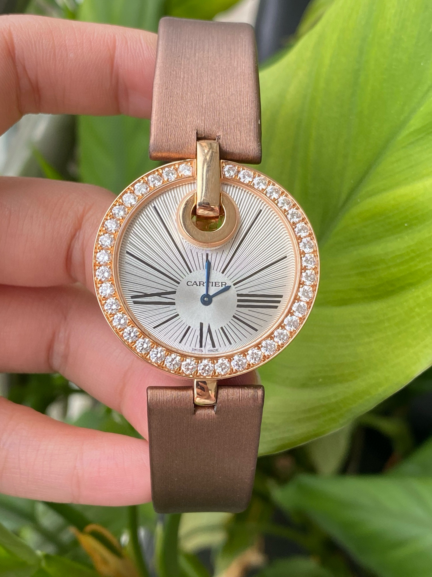 Cartier WG600011