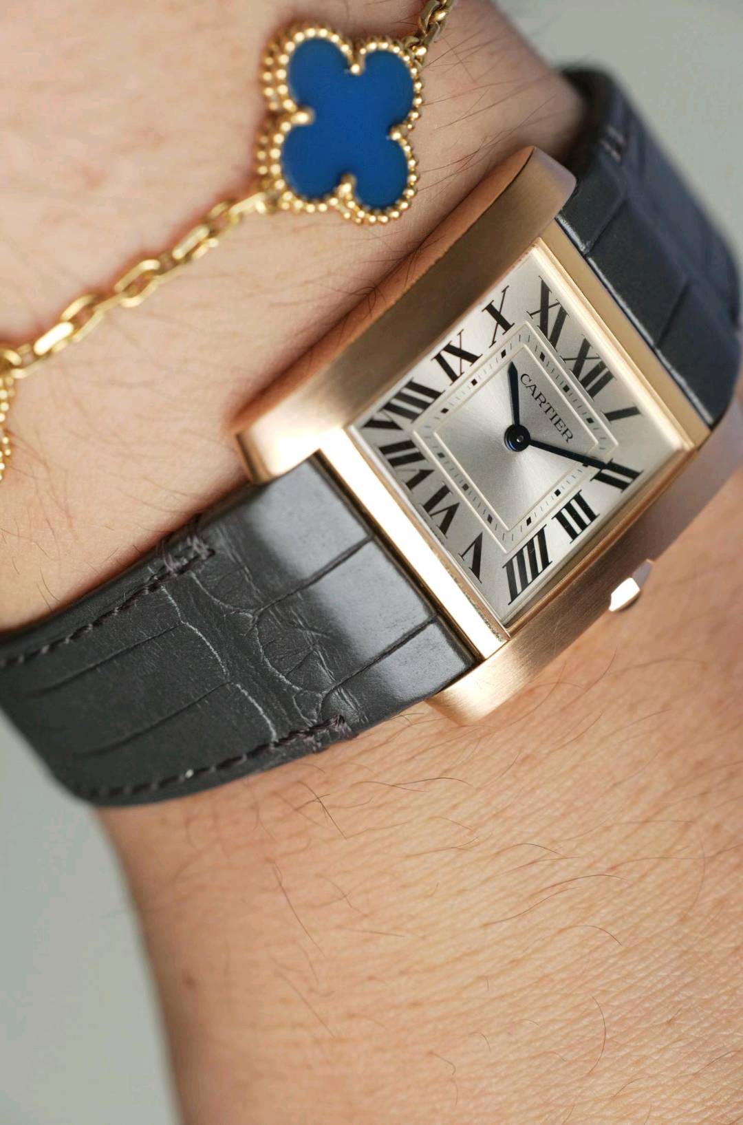Cartier WGTA0281