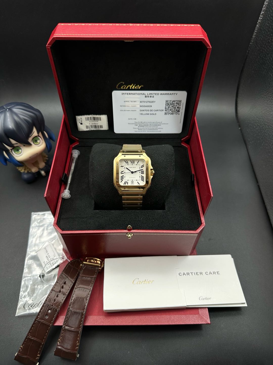 Cartier WGSA0029