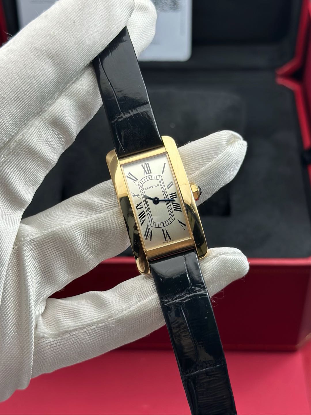 Cartier WGTA0356